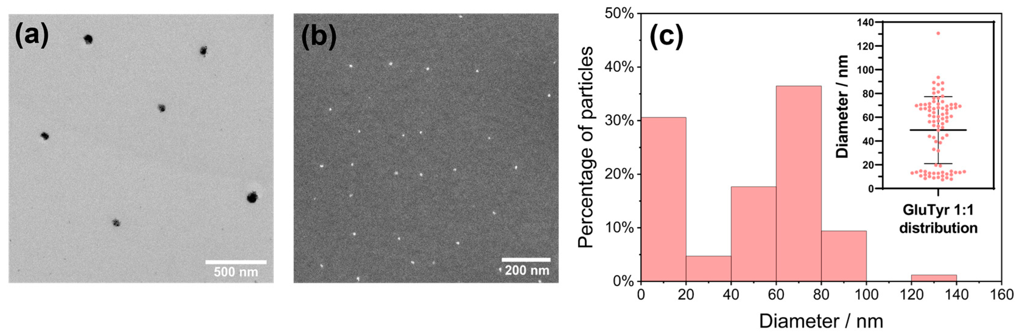 Nanomaterials 15 01846 g002