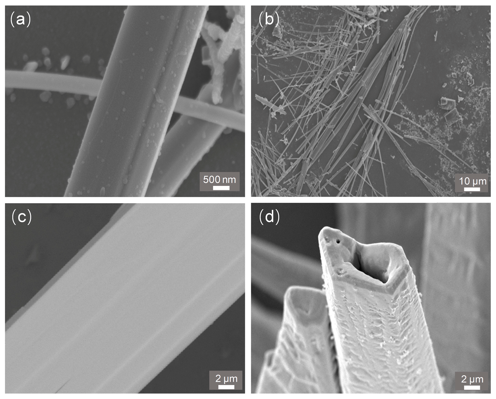 Nanomaterials 15 01849 g002 Nanomaterials 15 01849 g002