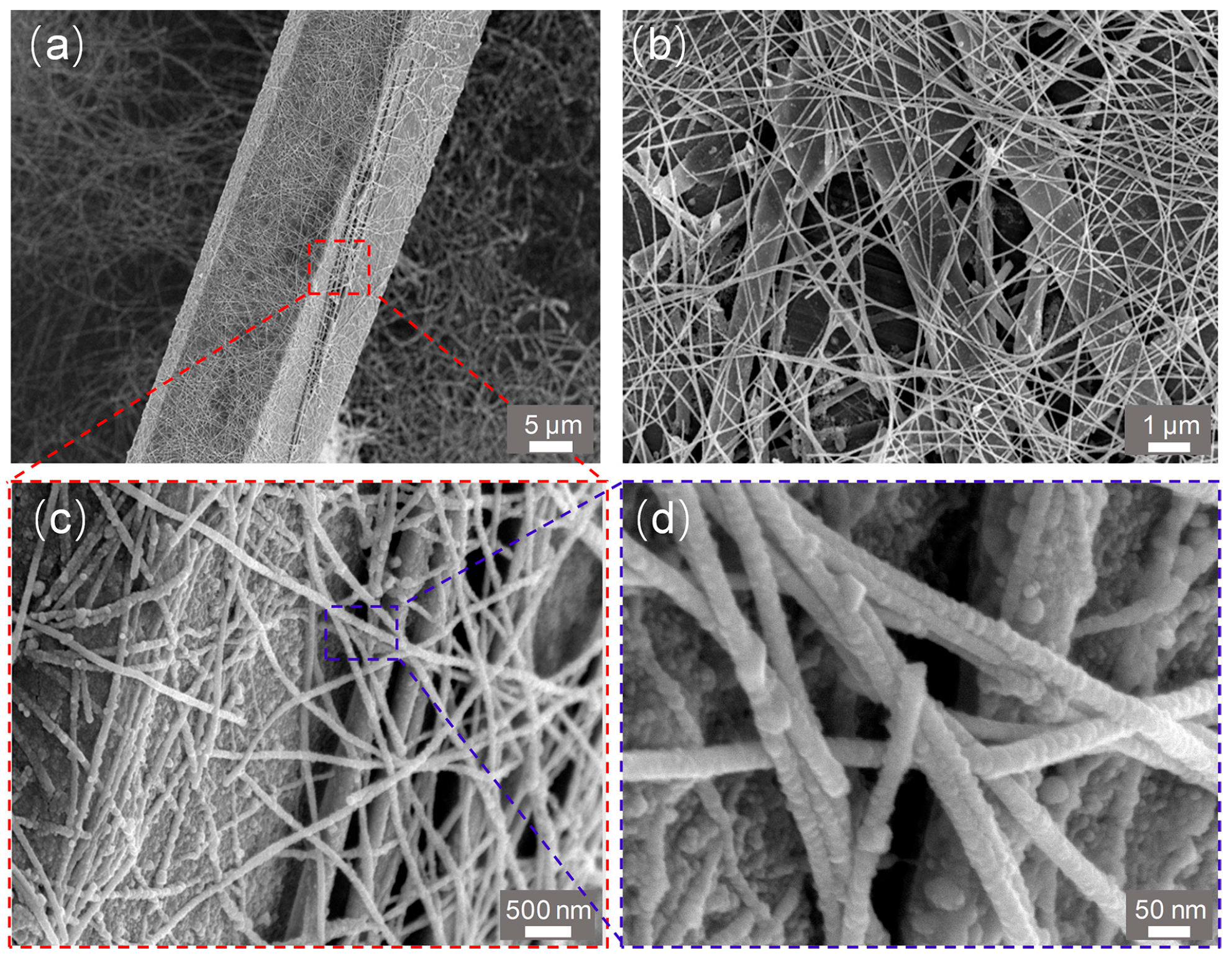 Nanomaterials 15 01849 g003 Nanomaterials 15 01849 g003