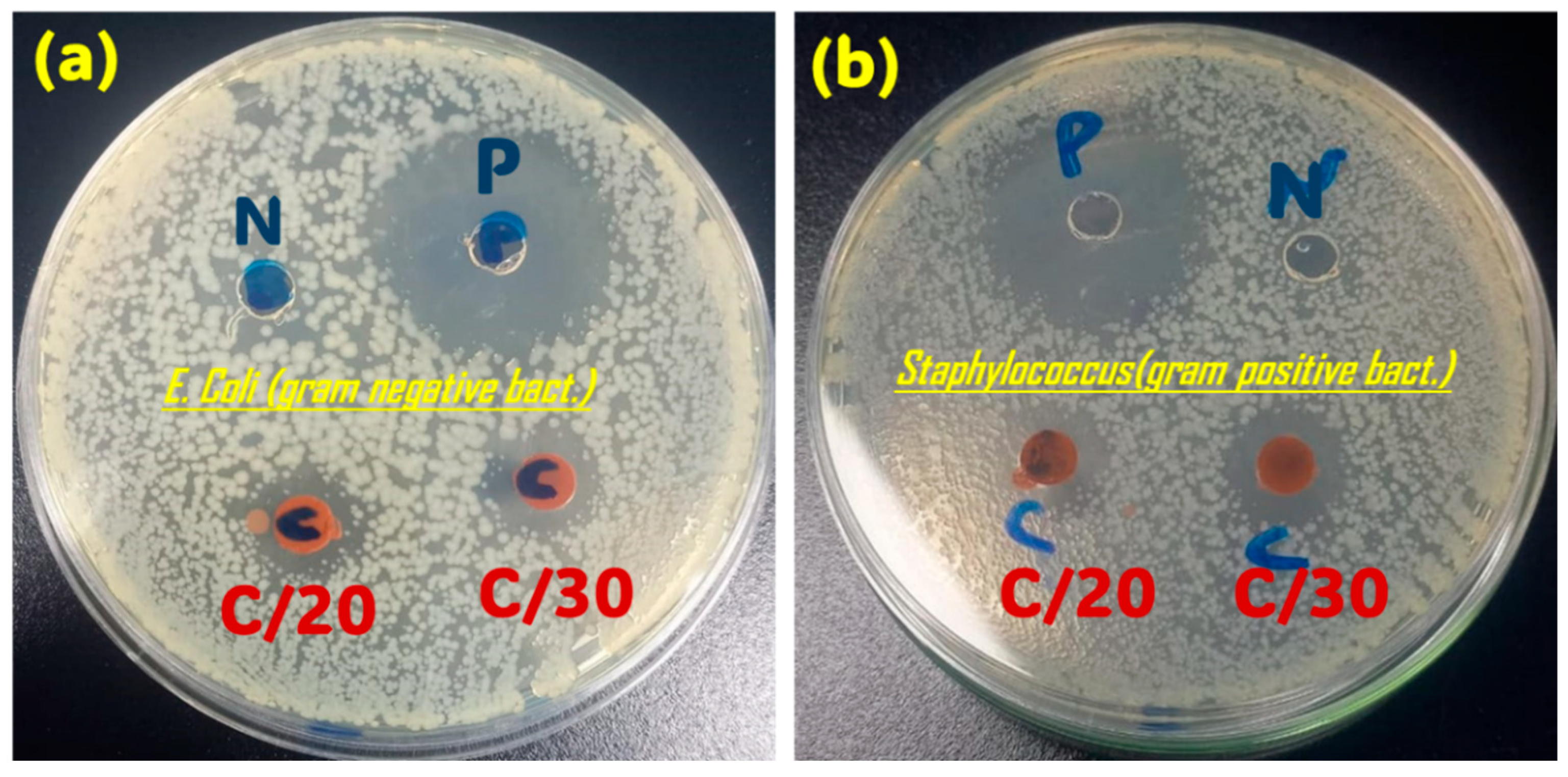 Nanomaterials 15 01850 g006 Nanomaterials 15 01850 g006