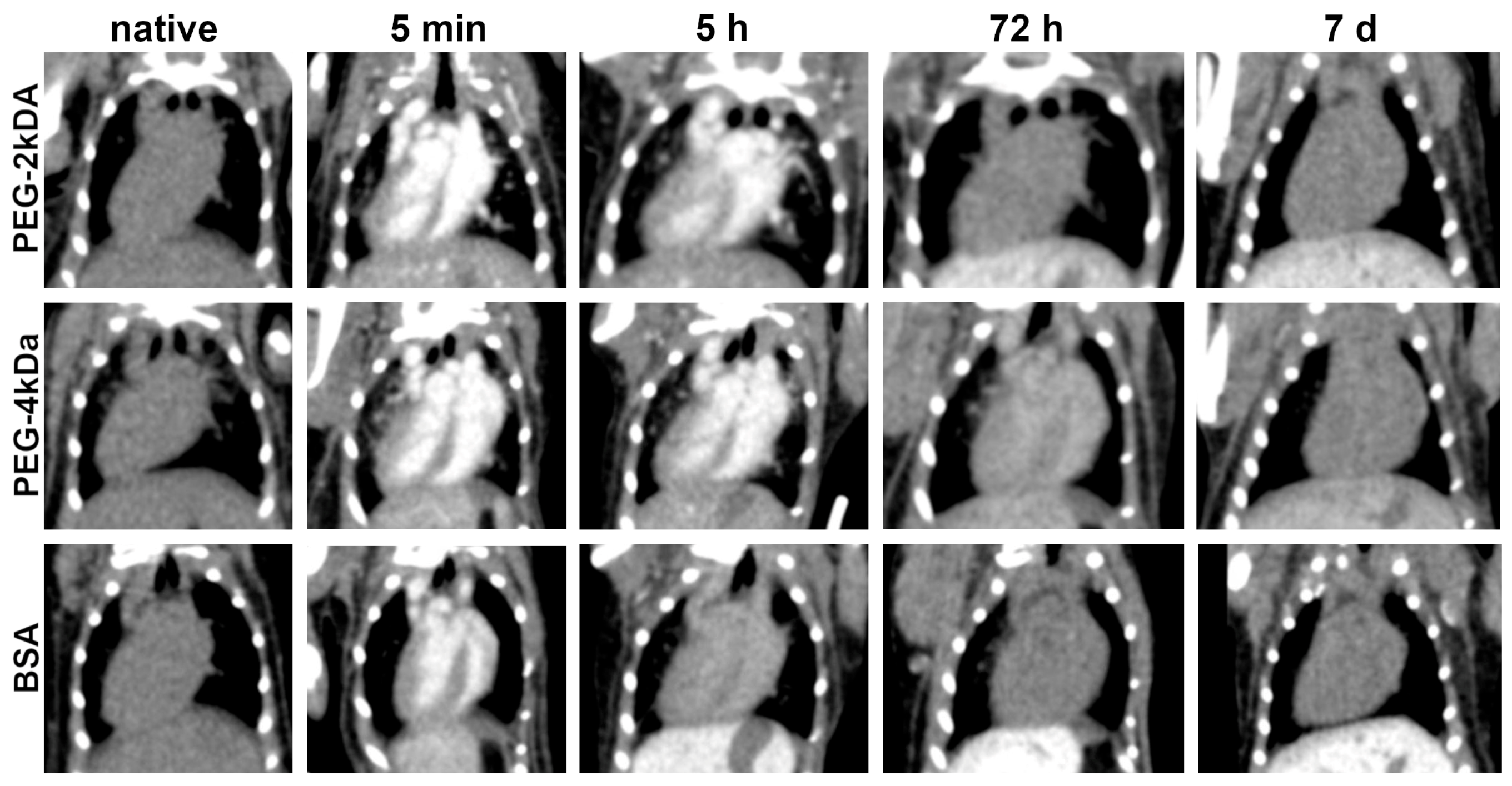 Nanomaterials 15 01851 g002