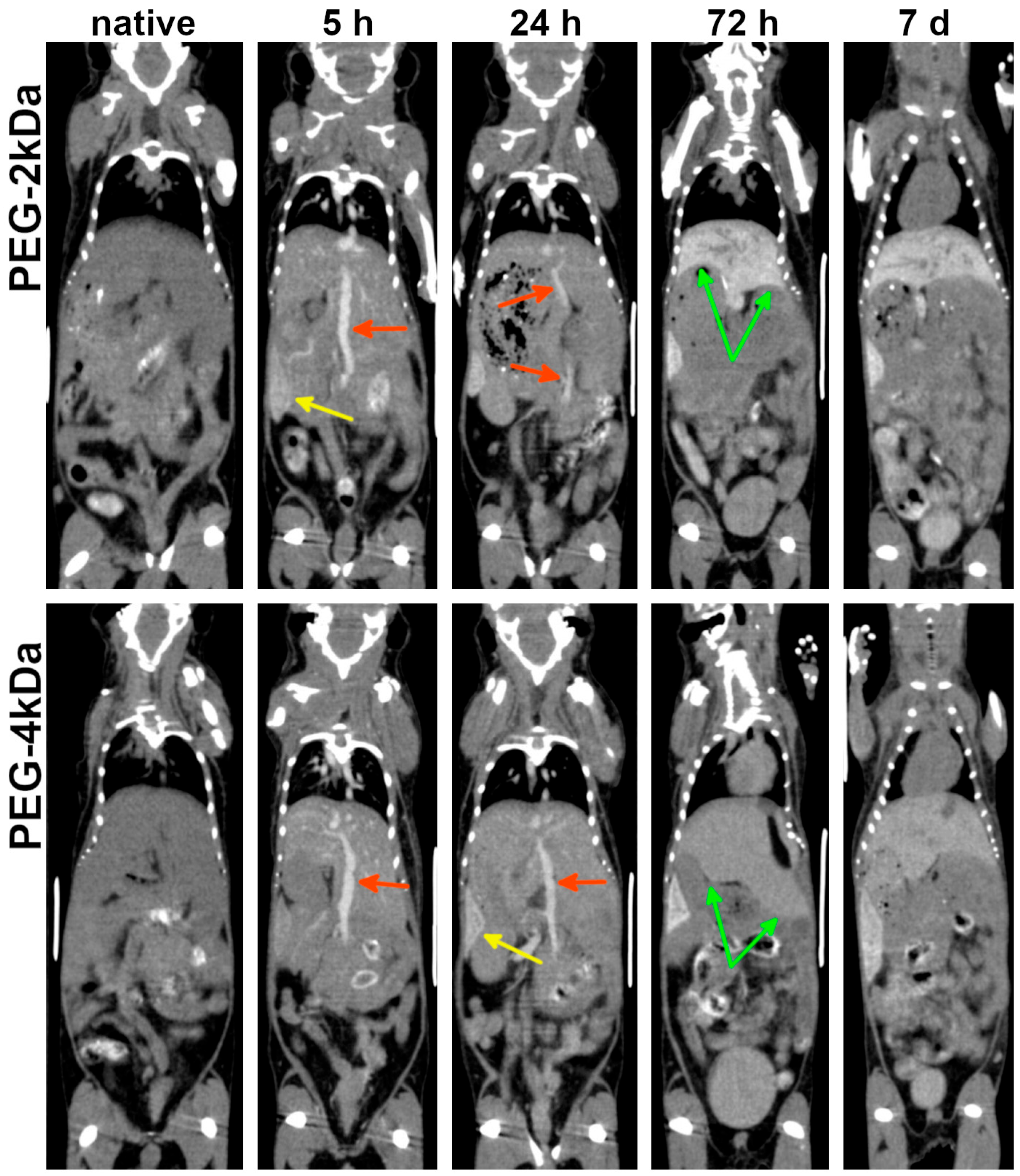 Nanomaterials 15 01851 g004