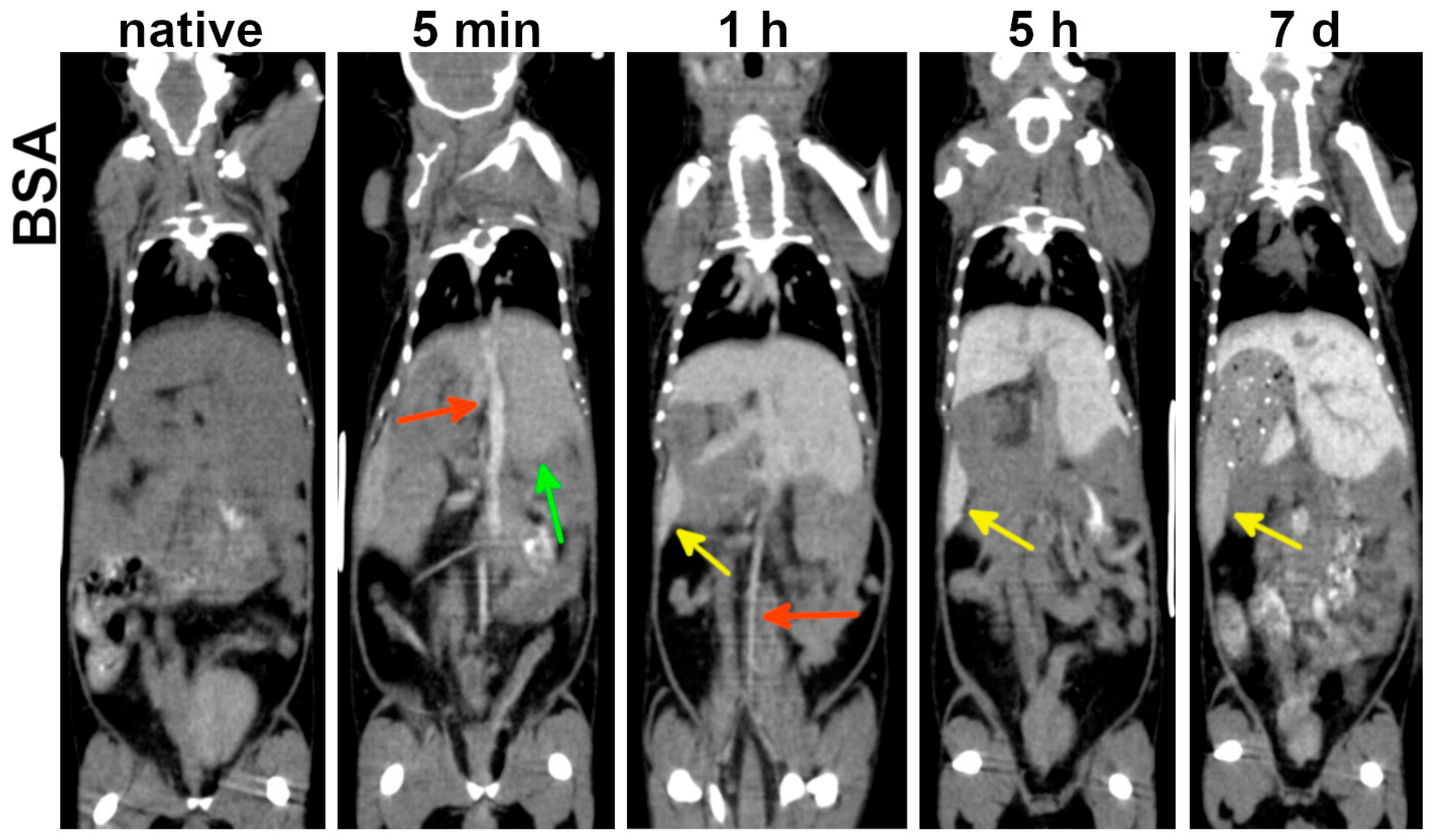Nanomaterials 15 01851 g005