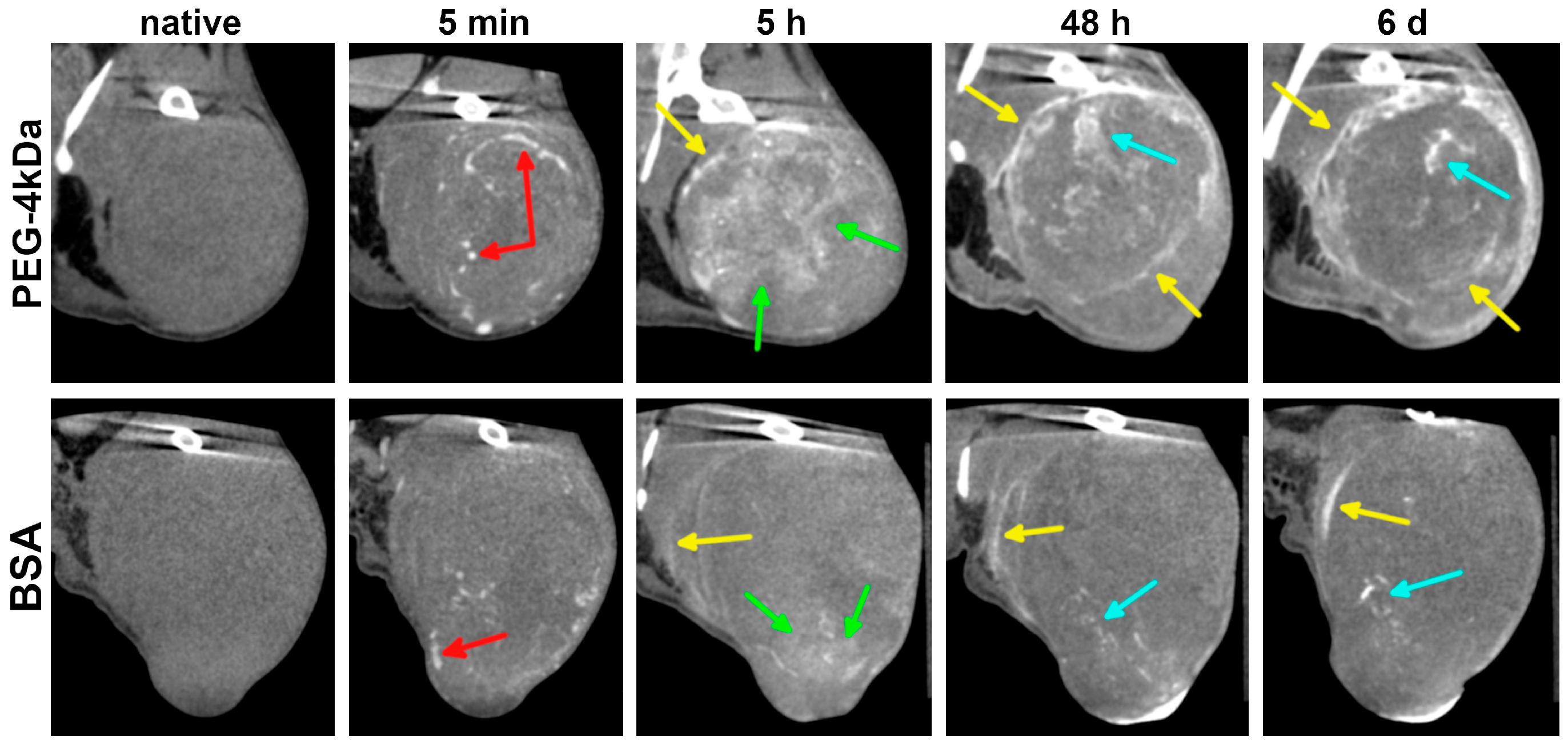 Nanomaterials 15 01851 g007