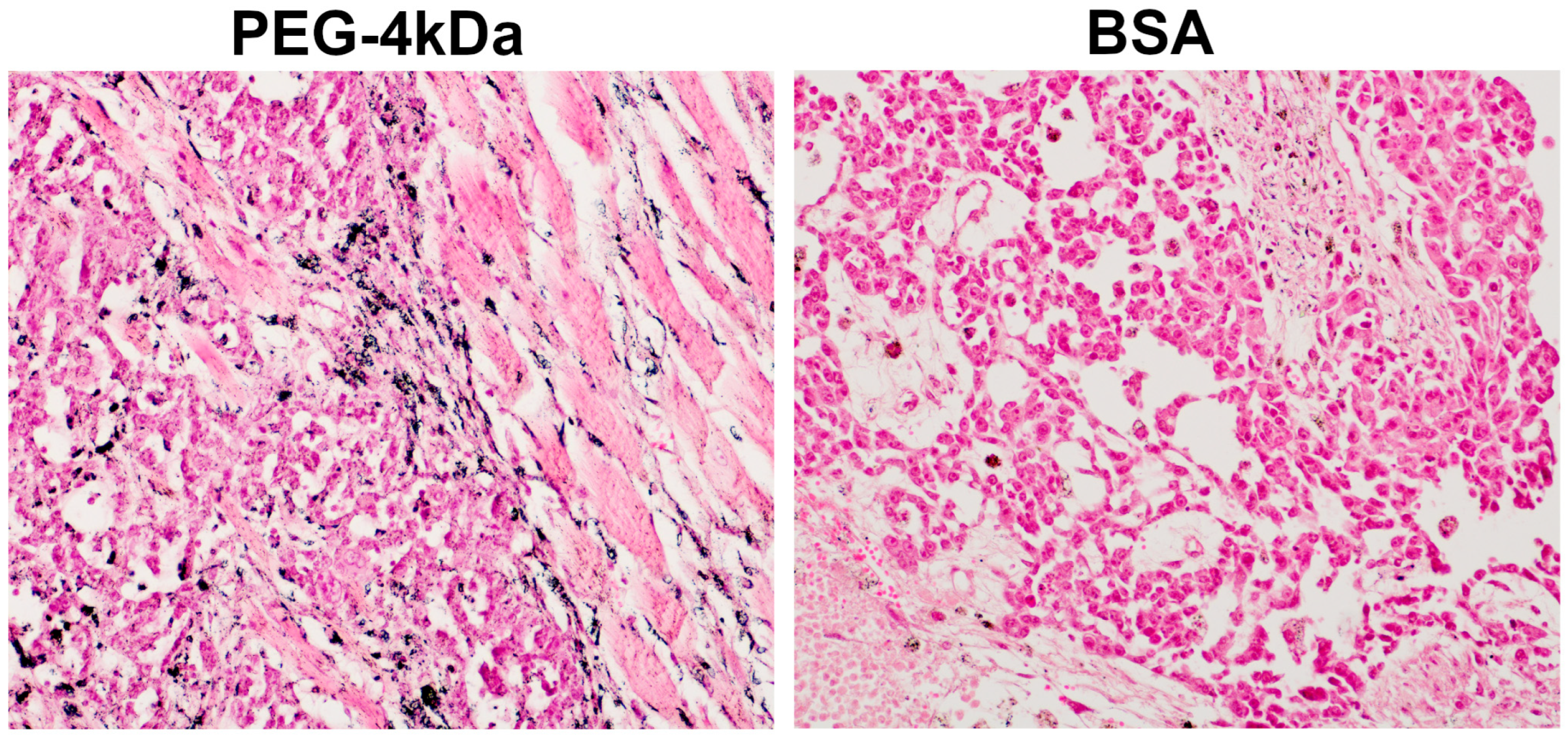 Nanomaterials 15 01851 g008