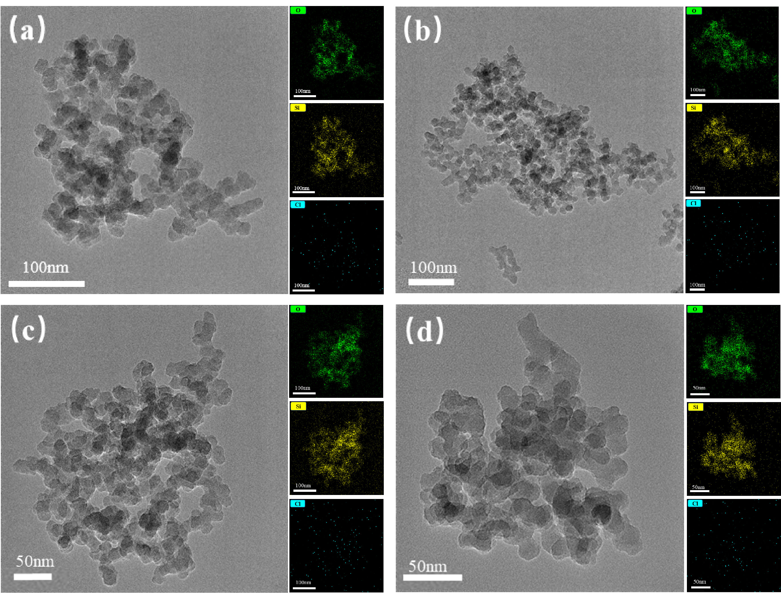 Nanomaterials 15 01854 g004