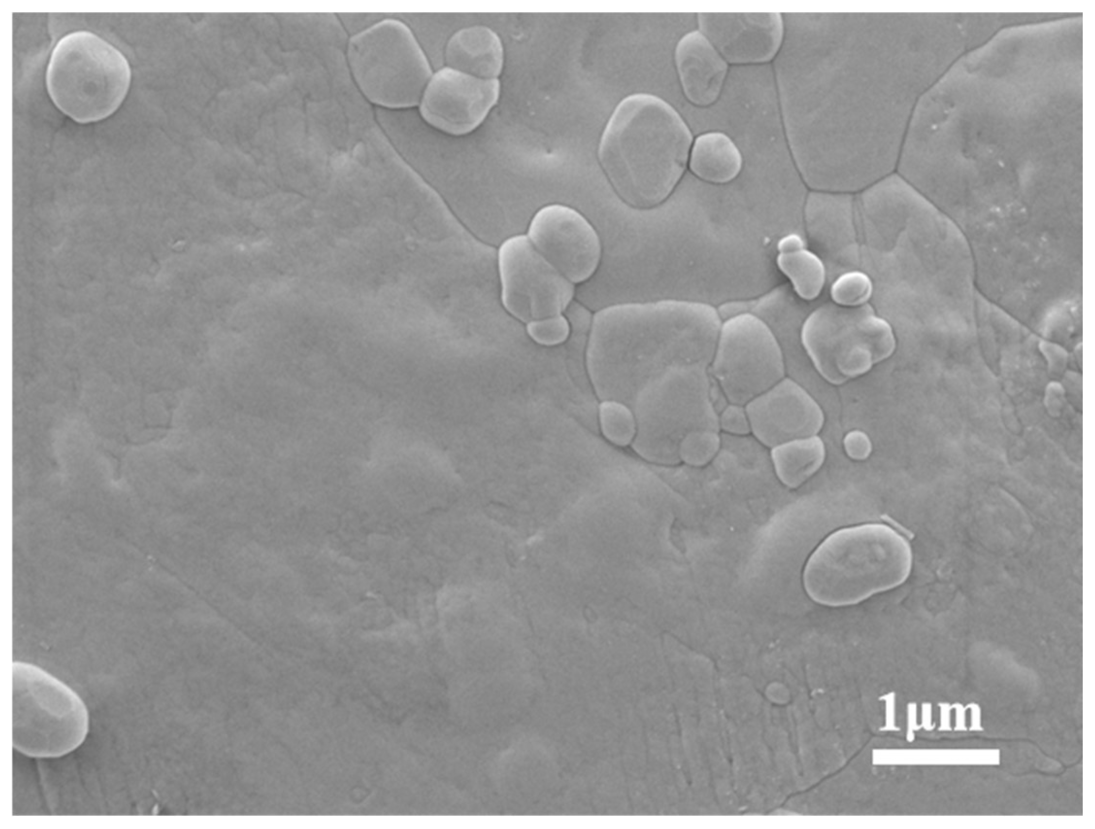 Nanomaterials 15 01854 g011