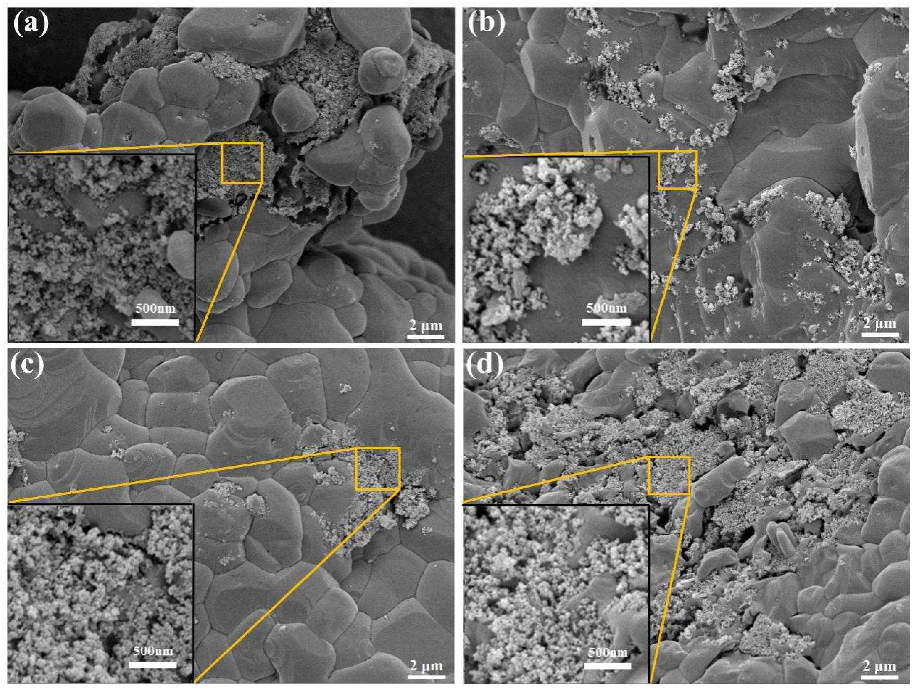 Nanomaterials 15 01854 g012