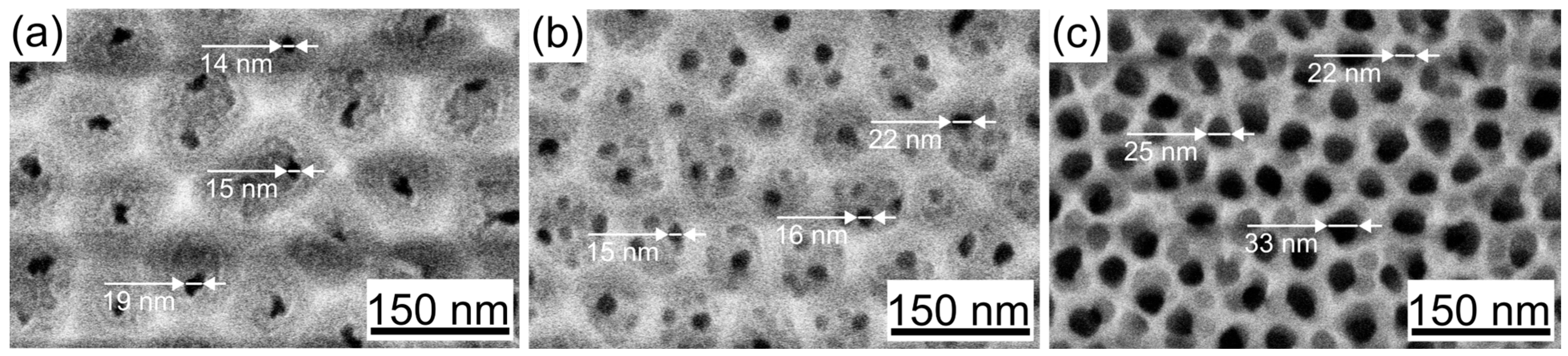 Nanomaterials 15 01855 g001