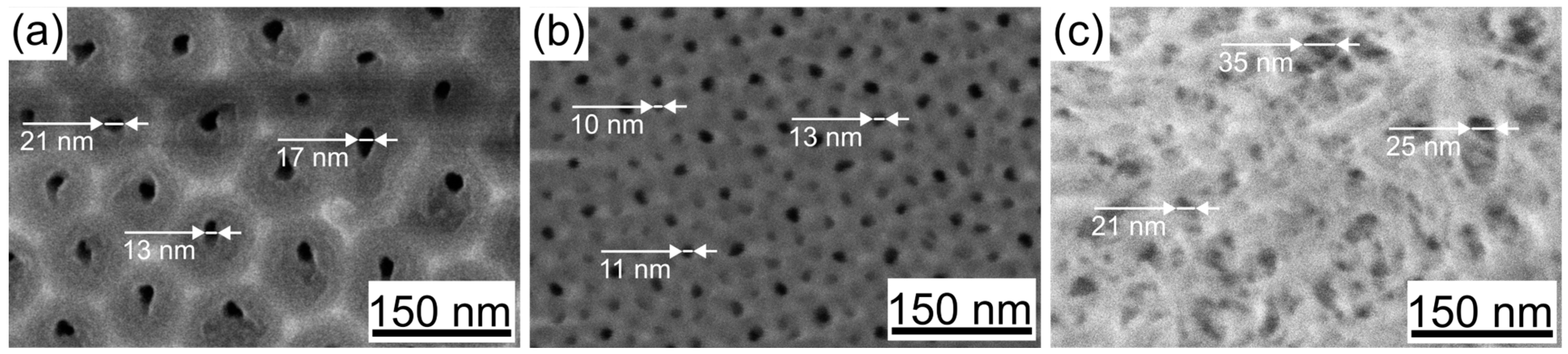 Nanomaterials 15 01855 g002