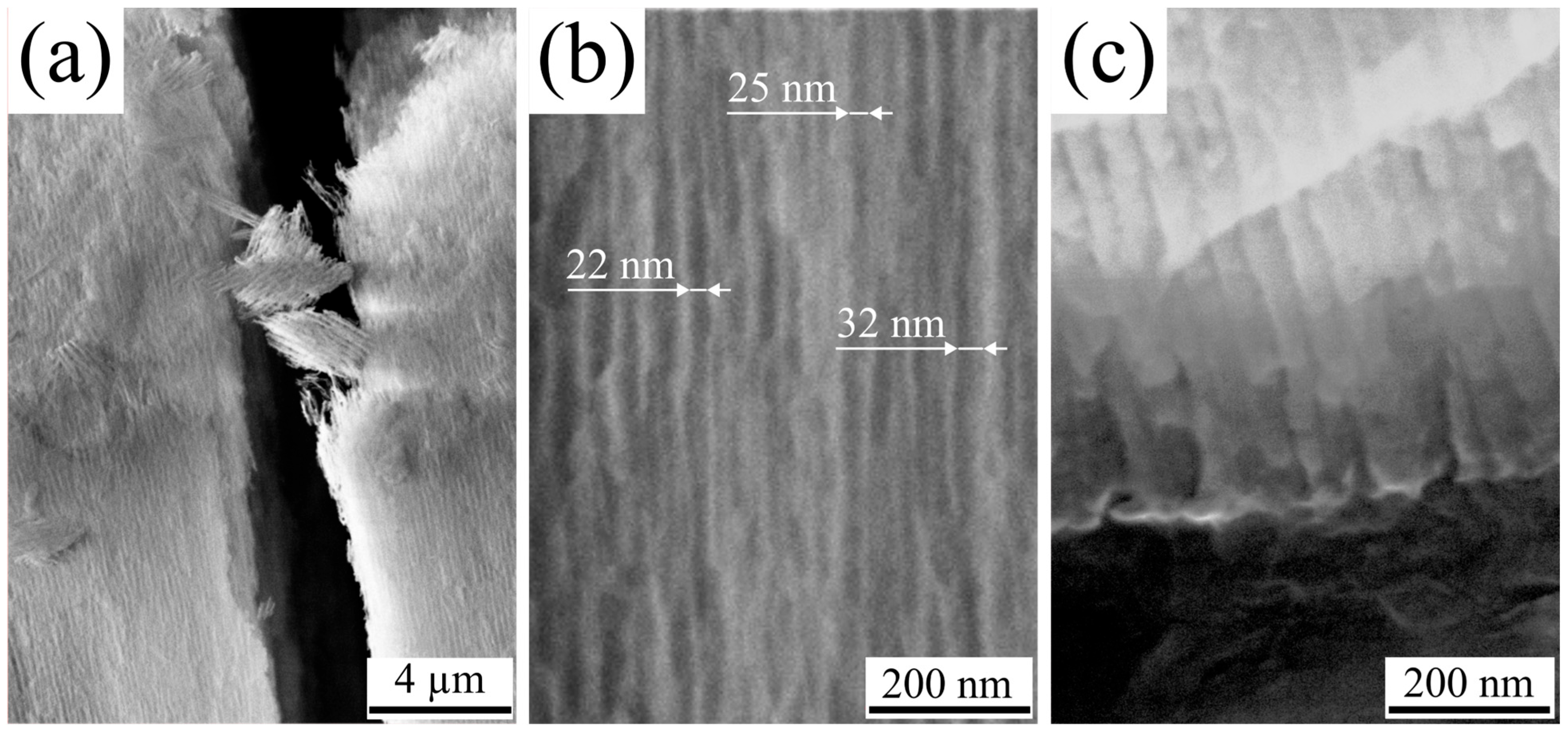 Nanomaterials 15 01855 g003