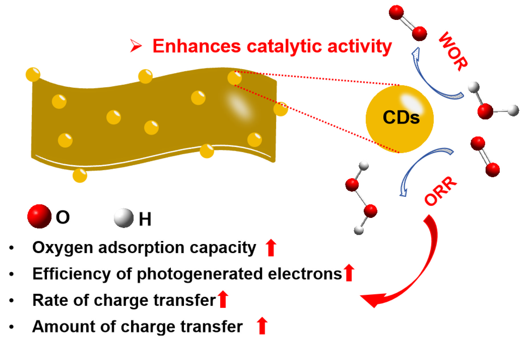 Nanomaterials 15 01856 g007