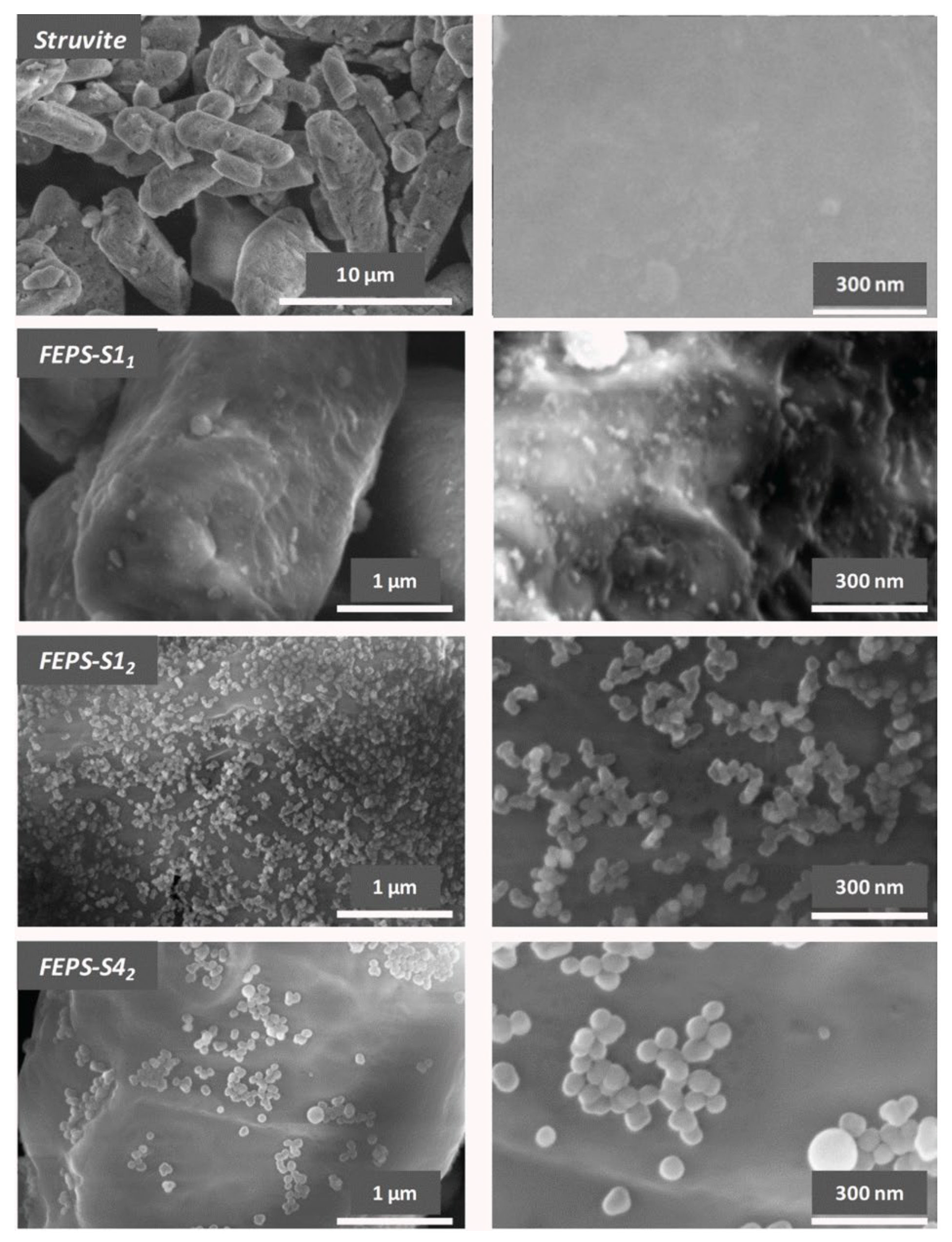 Nanomaterials 15 01859 g008