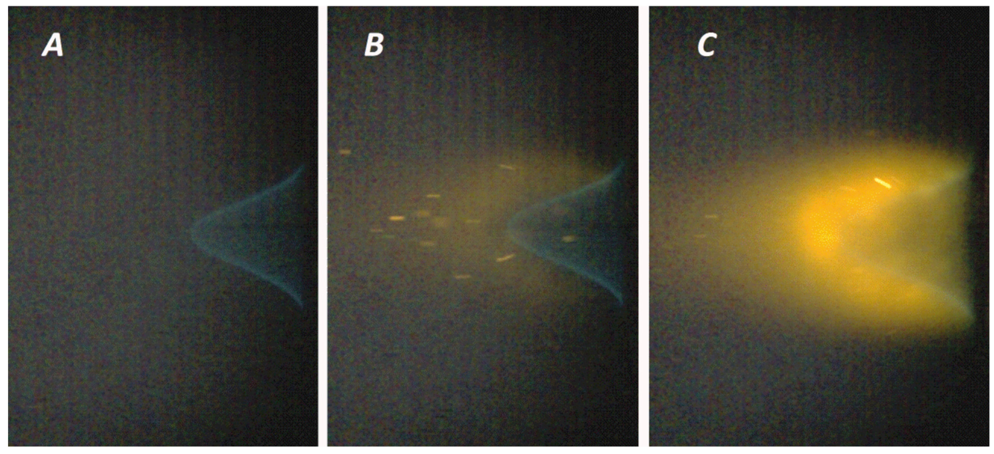 Nanomaterials 15 01859 g011