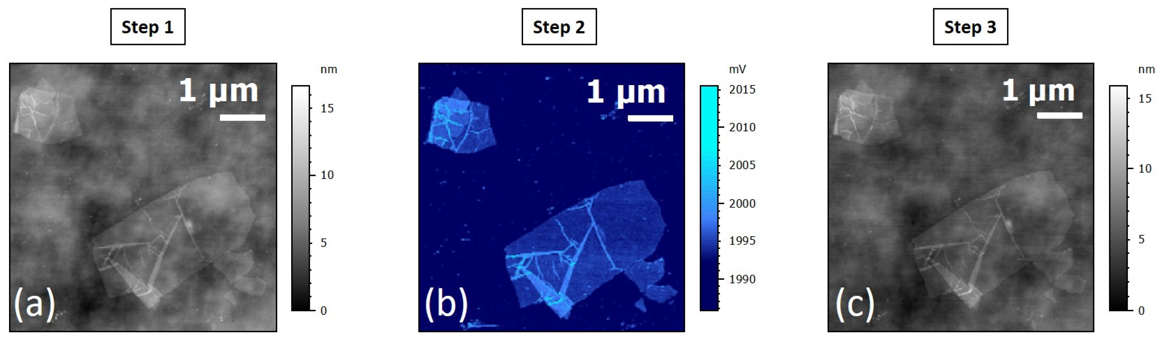 Nanomaterials 15 01861 g010