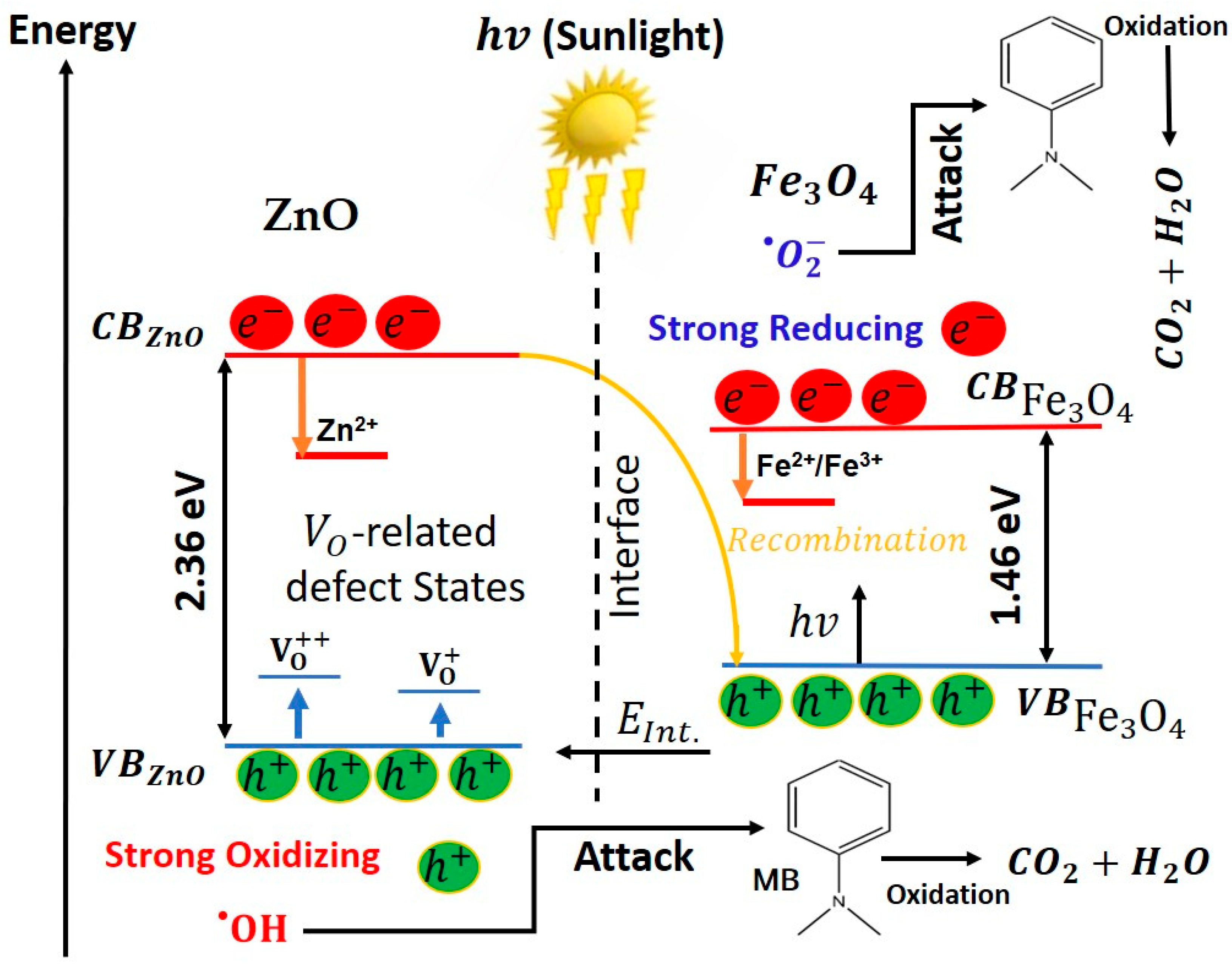Nanomaterials 15 01864 g013 Nanomaterials 15 01864 g013