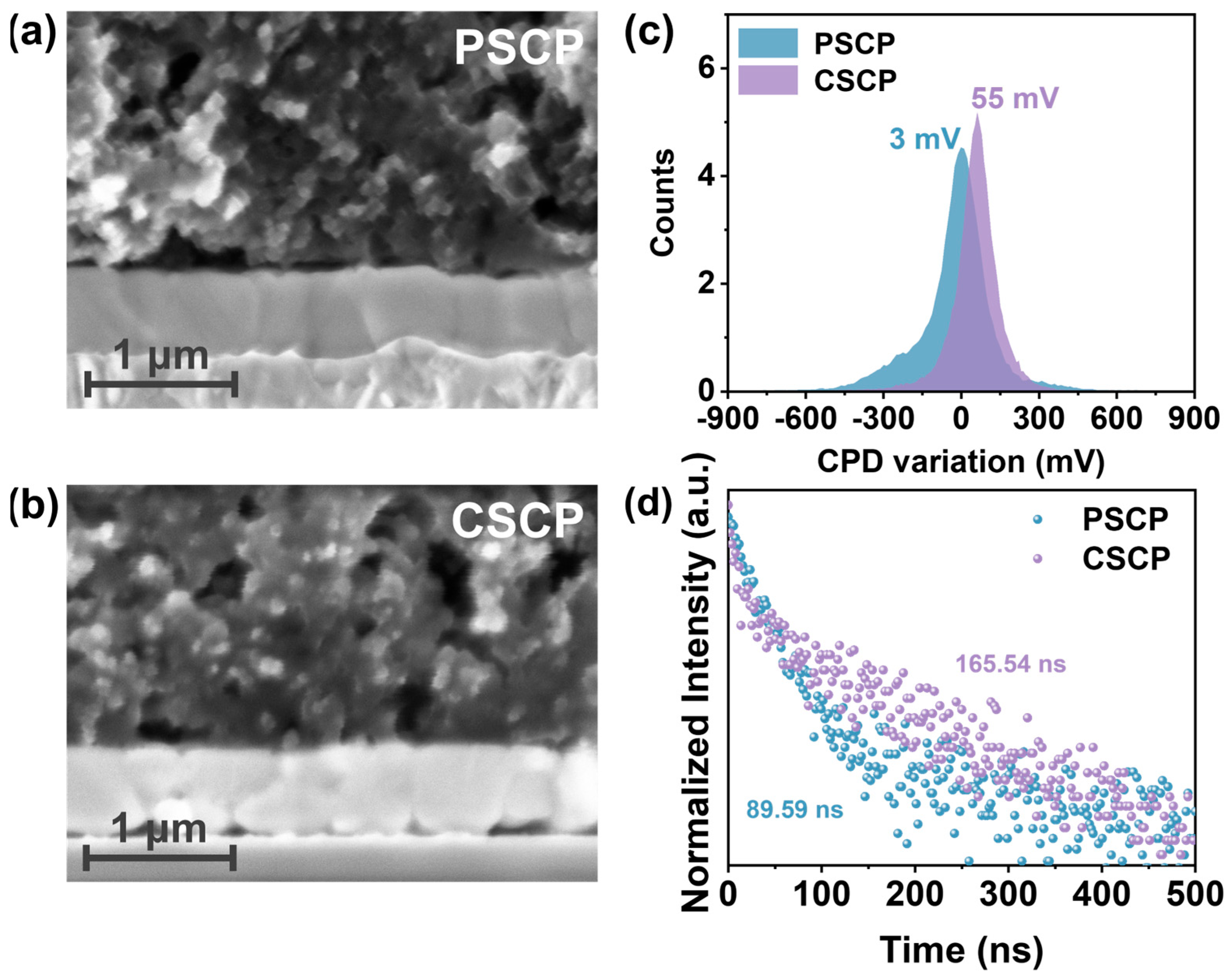 Nanomaterials 15 01868 g003 Nanomaterials 15 01868 g003