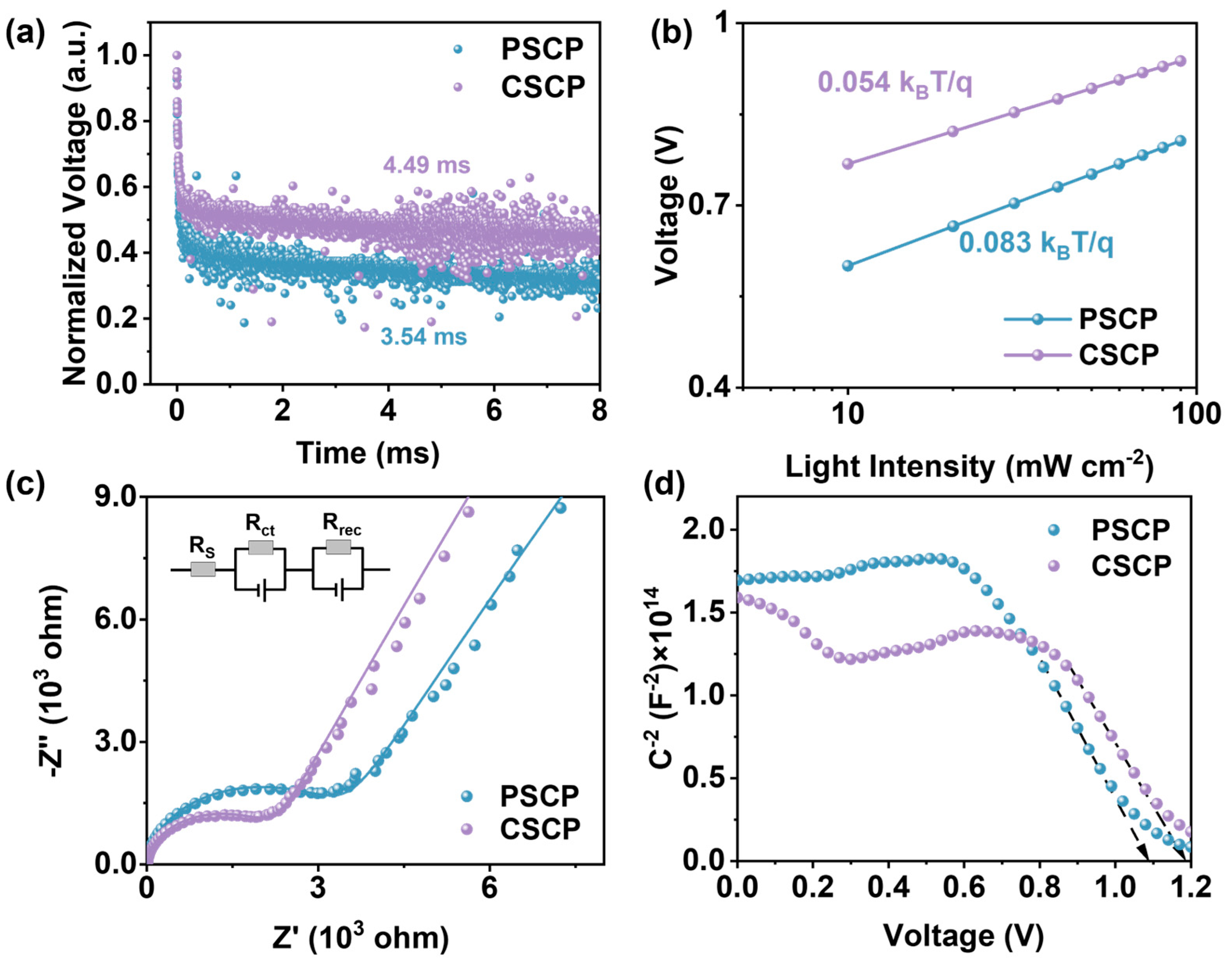 Nanomaterials 15 01868 g004 Nanomaterials 15 01868 g004