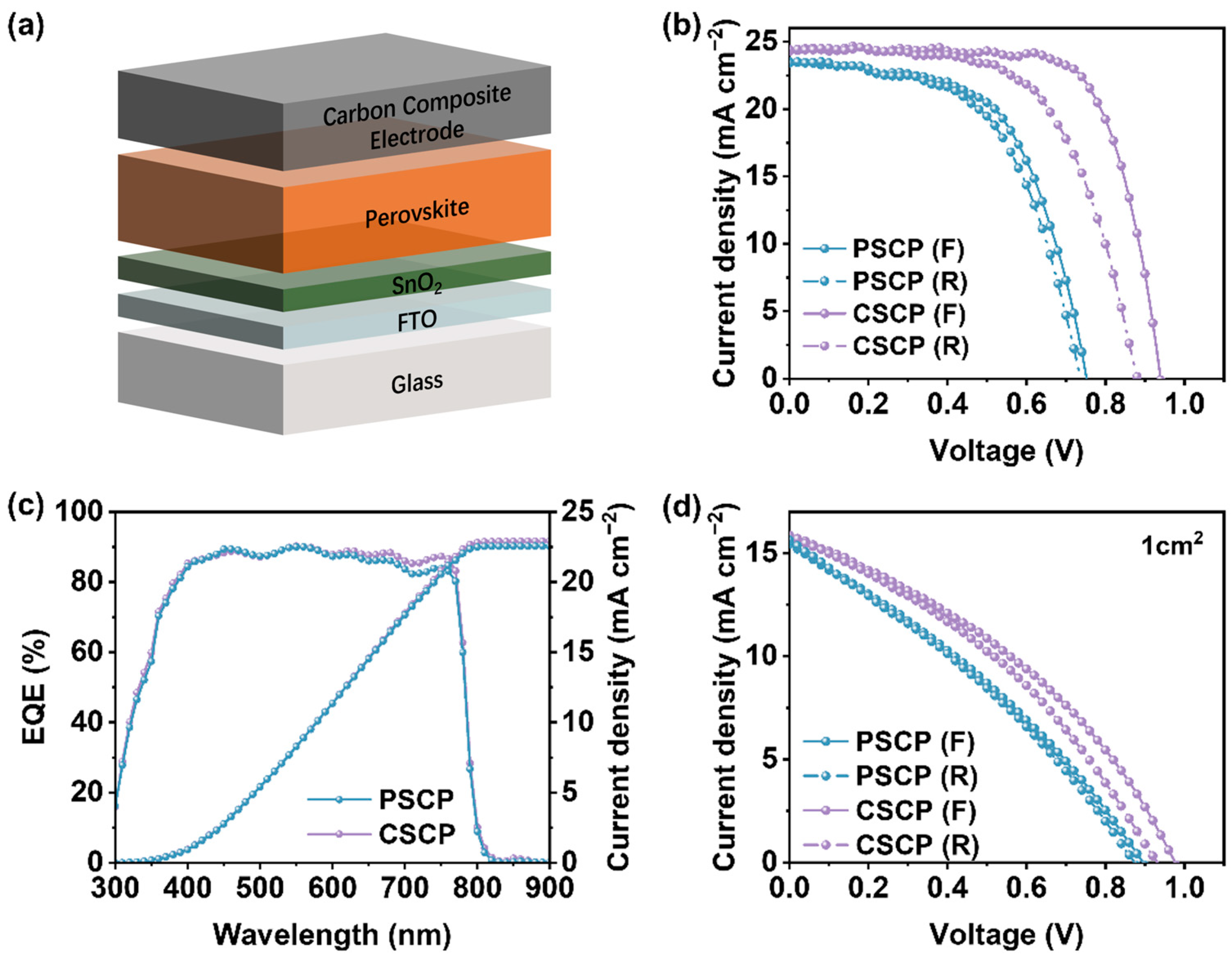 Nanomaterials 15 01868 g005 Nanomaterials 15 01868 g005