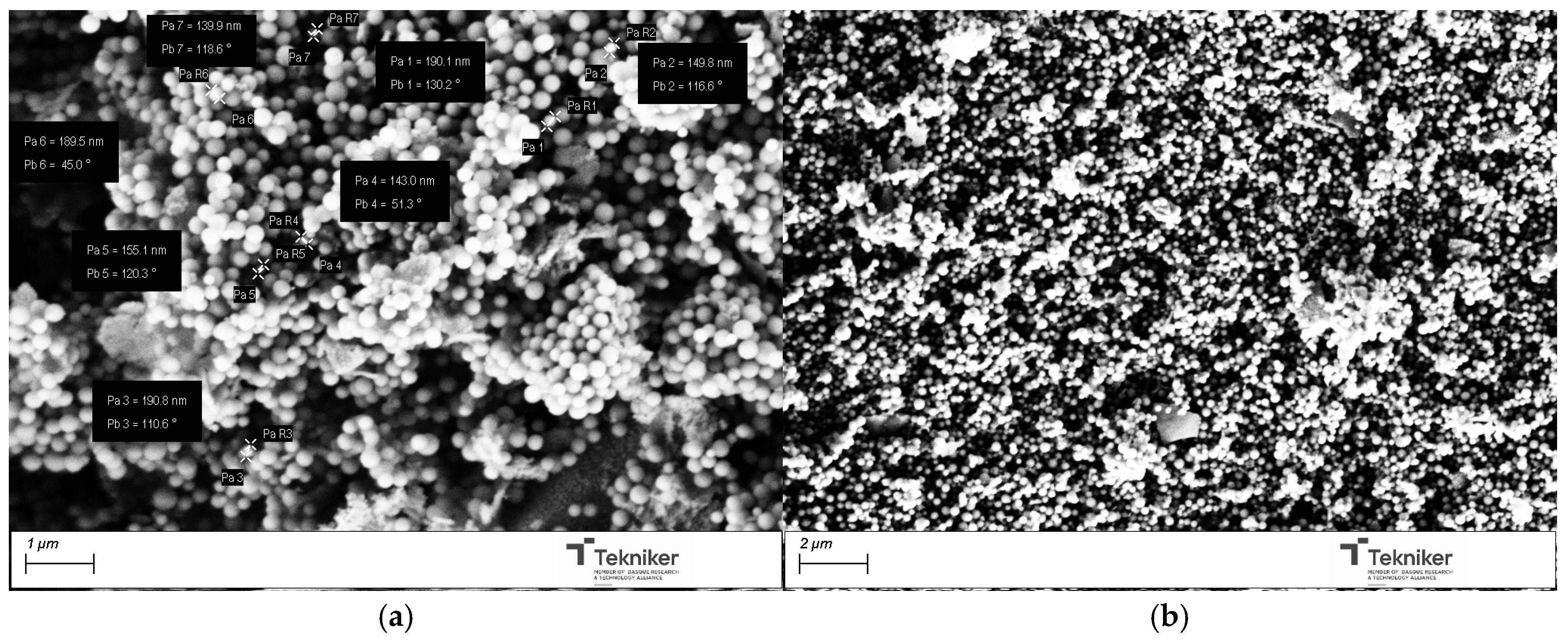 Nanomaterials 15 01884 g011 Nanomaterials 15 01884 g011