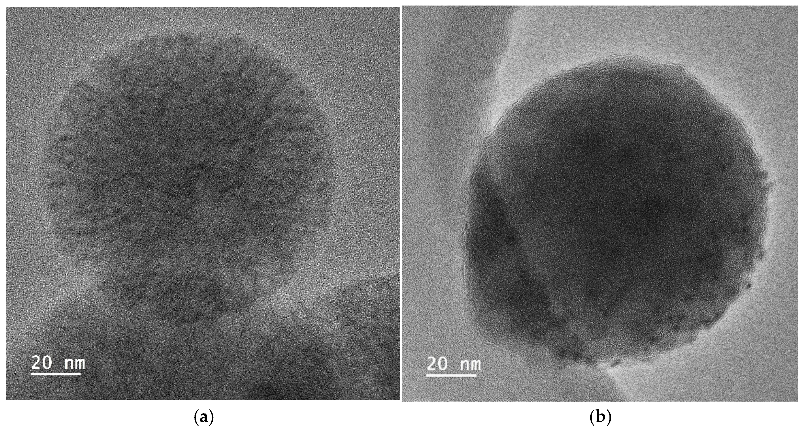 Nanomaterials 15 01884 g012 Nanomaterials 15 01884 g012