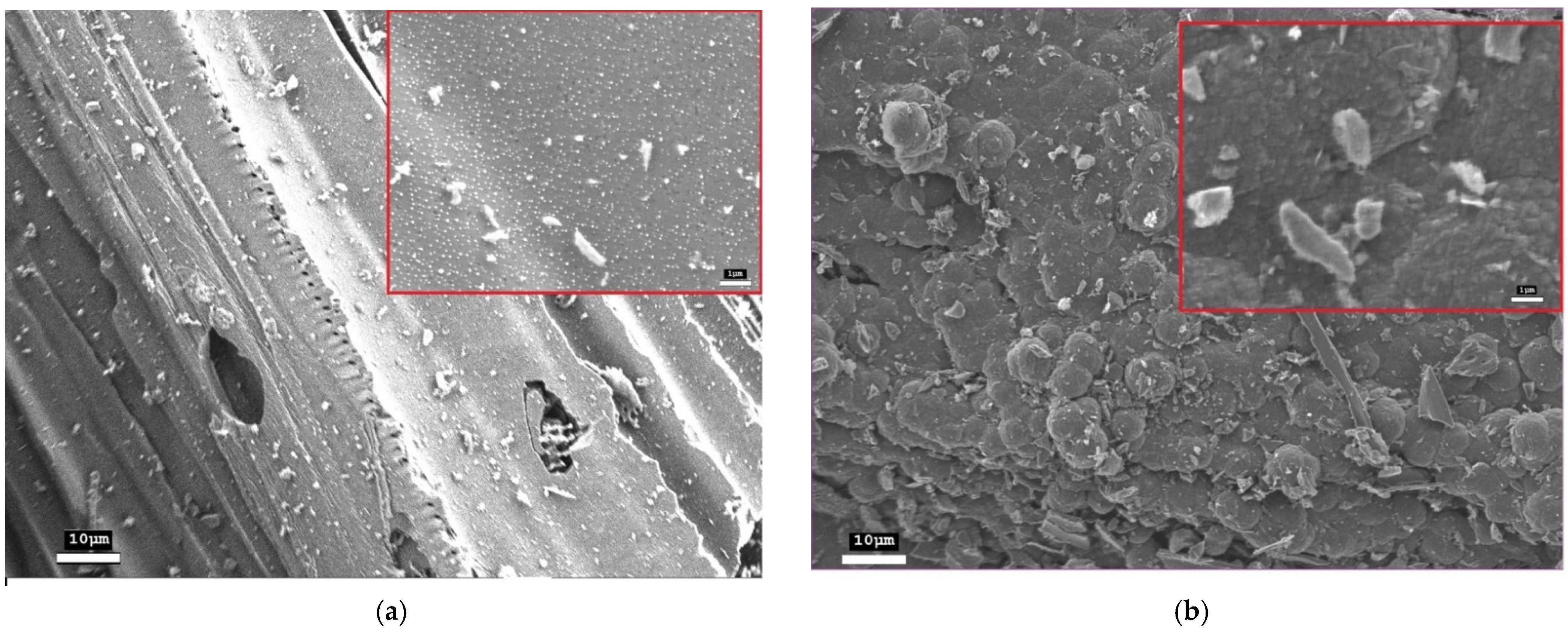 Nanomaterials 15 01885 g002 Nanomaterials 15 01885 g002