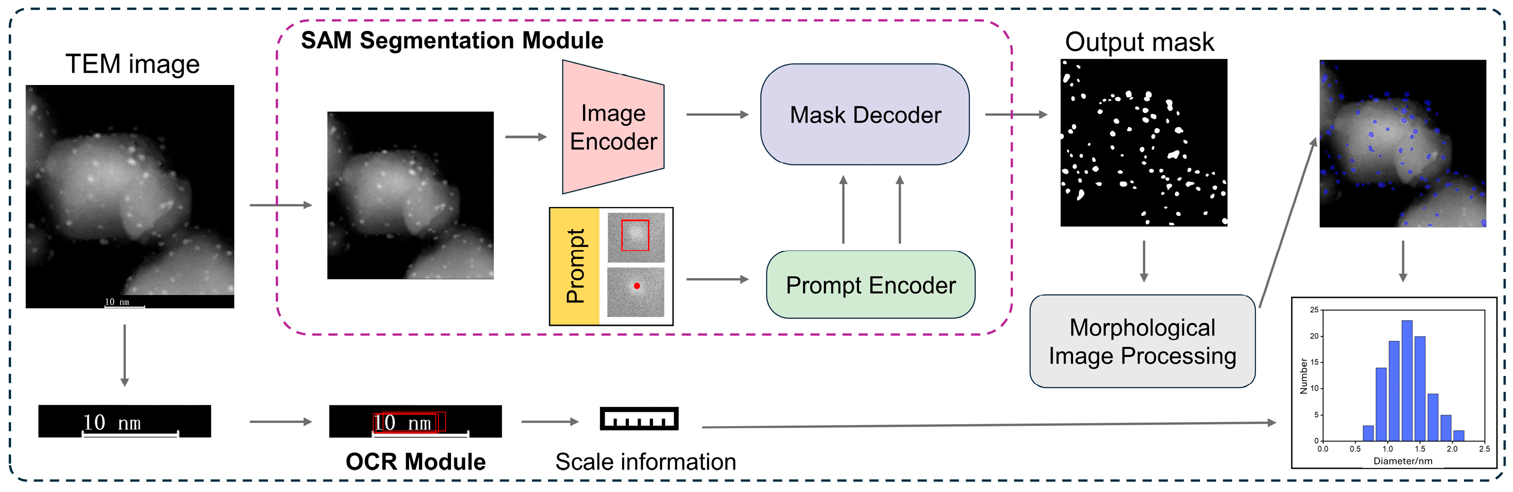 Nanomaterials 15 01886 g001