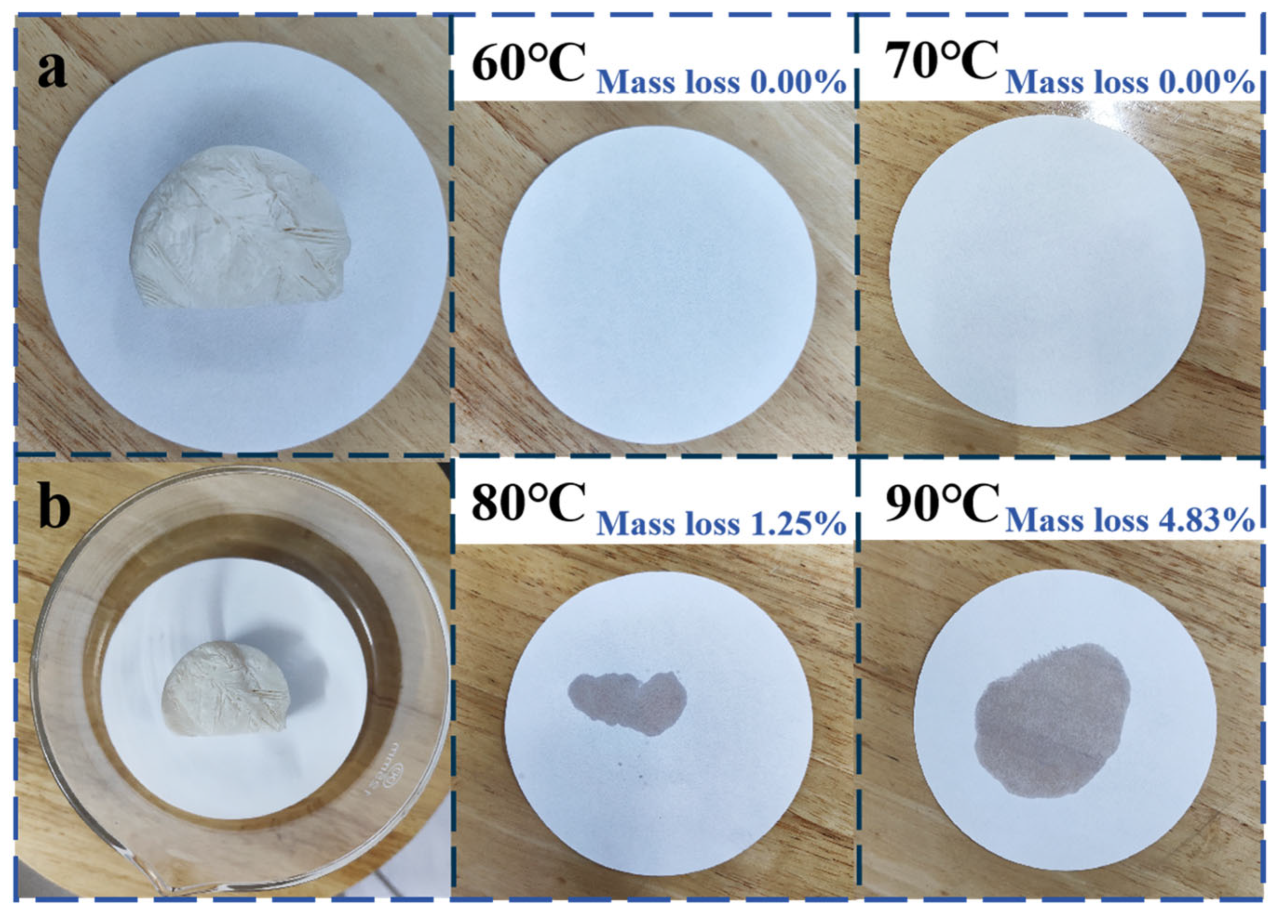 Nanomaterials 15 01887 g012 Nanomaterials 15 01887 g012