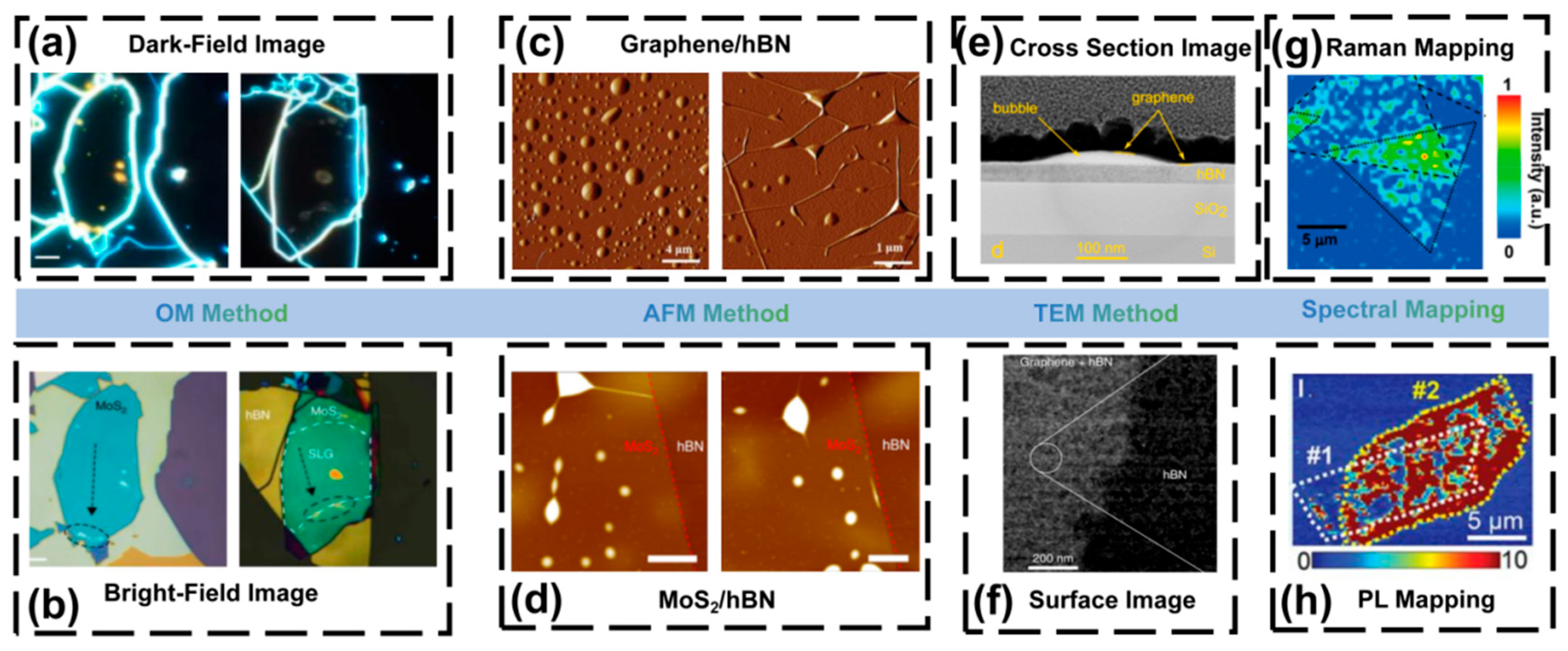 Nanomaterials 15 01888 g004