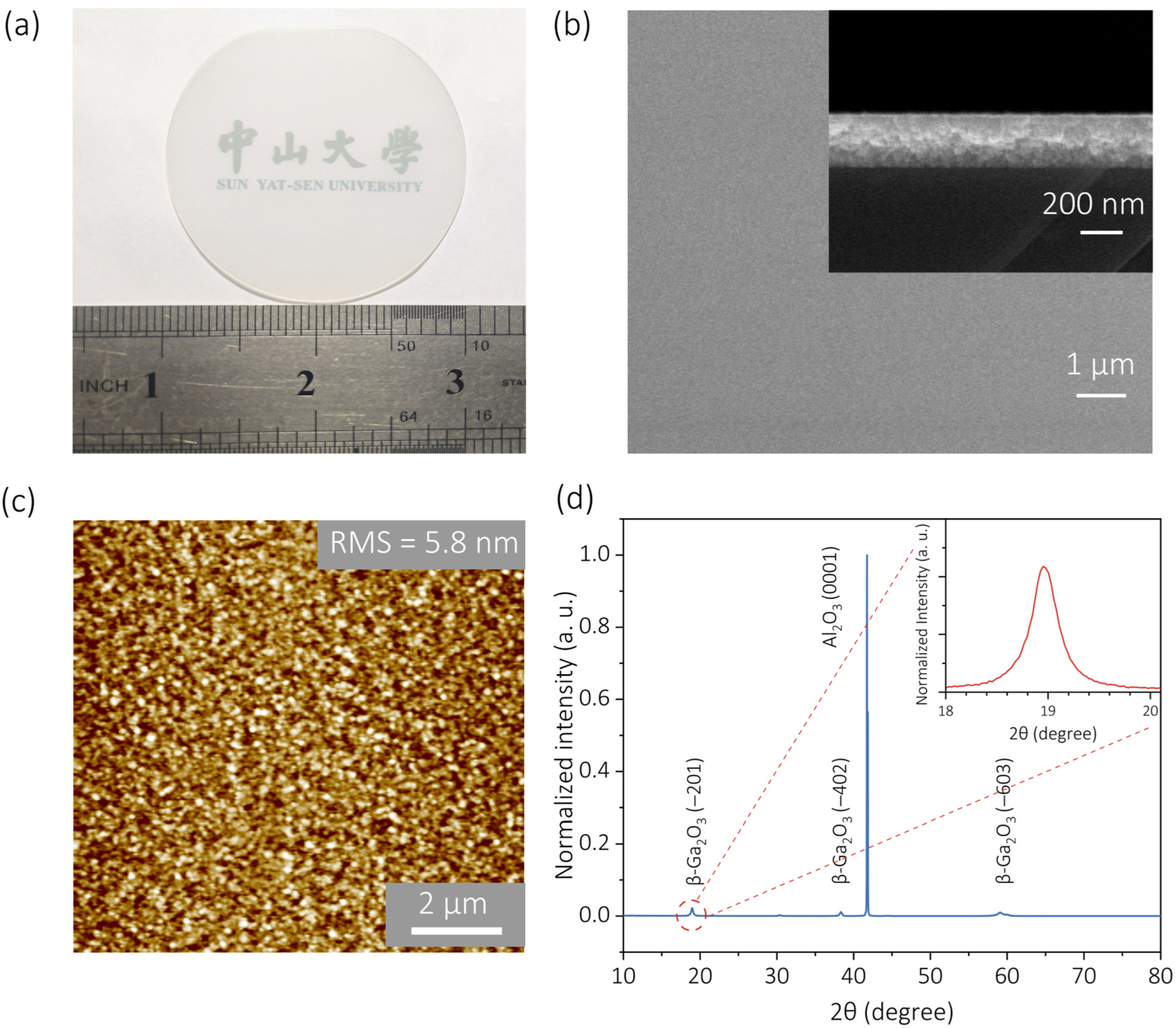 Nanomaterials 15 01896 g001 Nanomaterials 15 01896 g001
