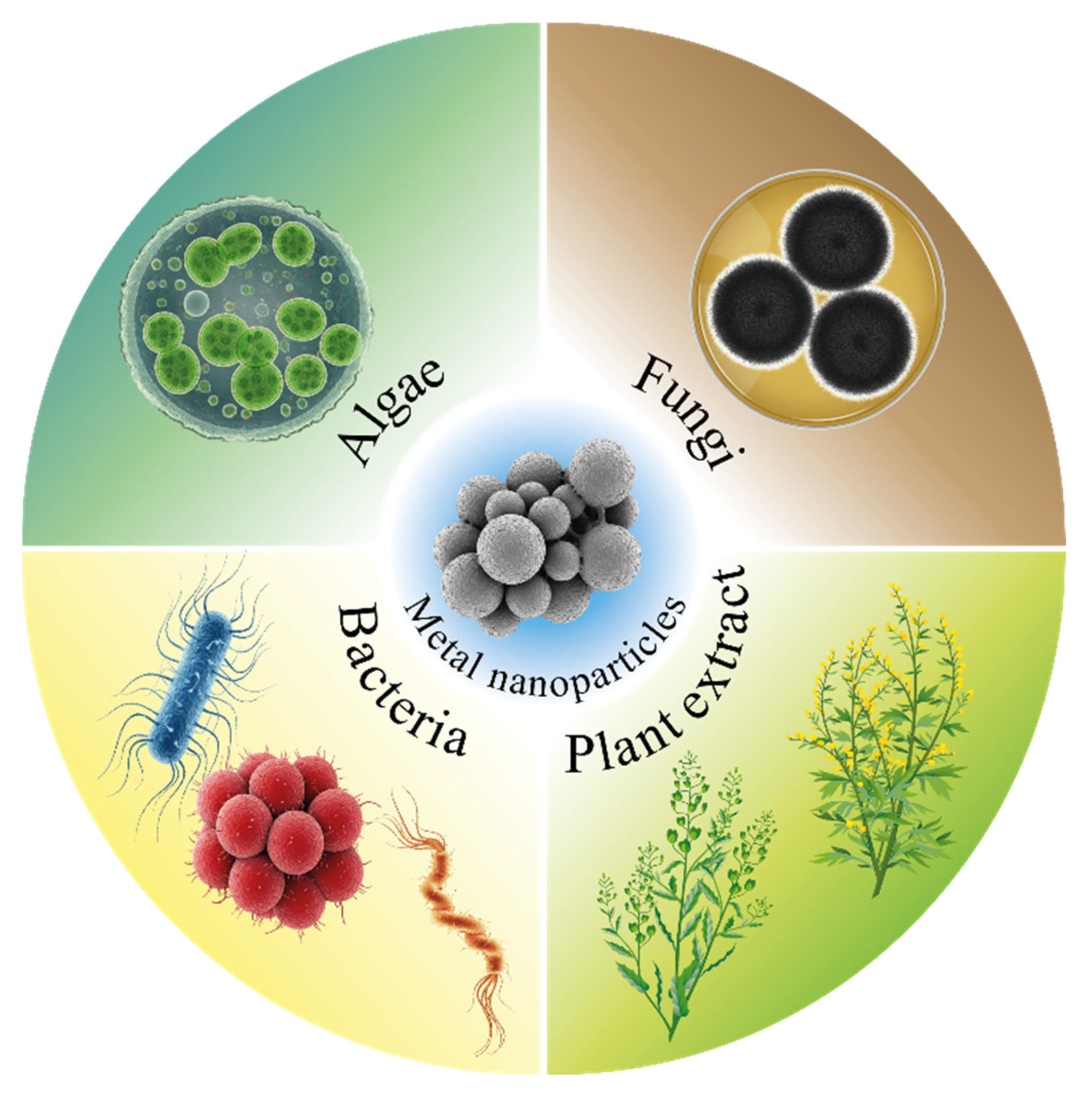 Nanomaterials 15 01899 g001