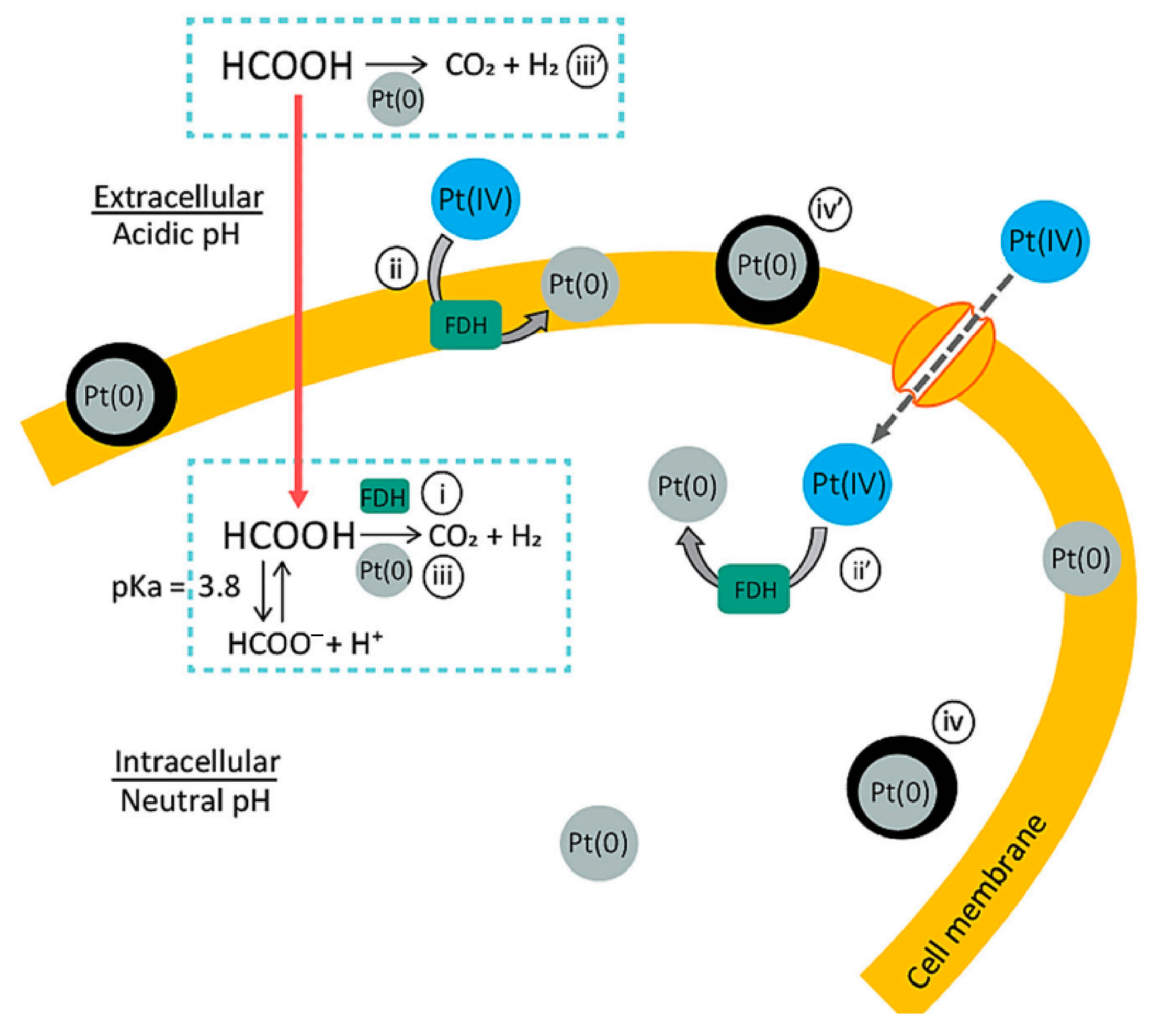 Nanomaterials 15 01899 g003