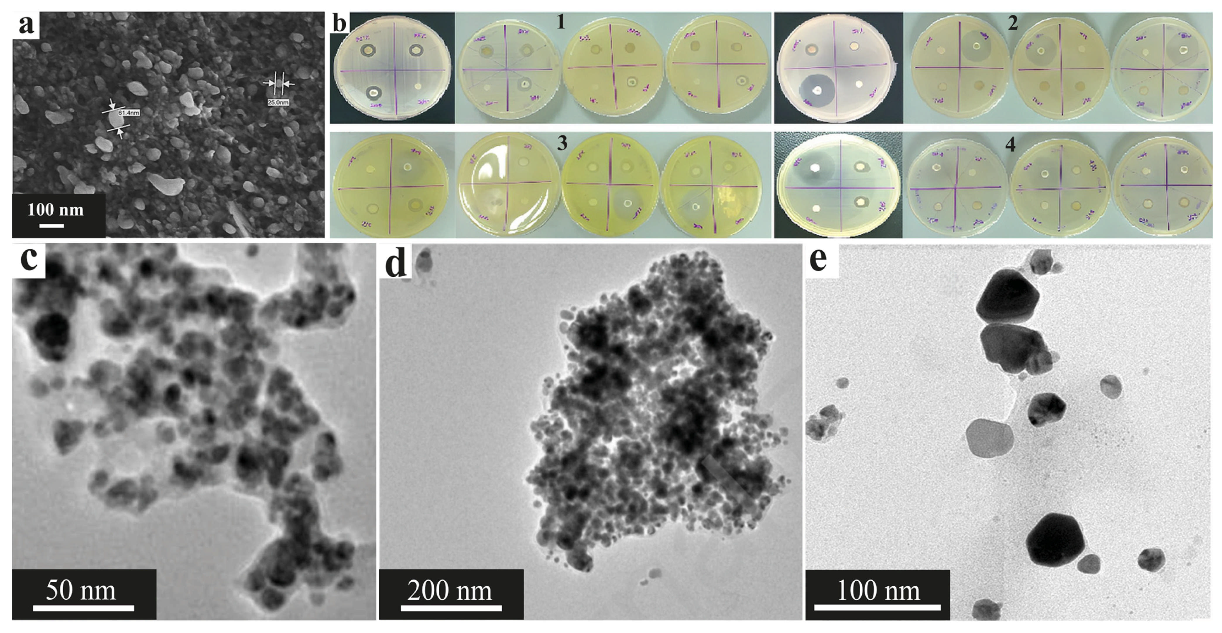 Nanomaterials 15 01899 g021