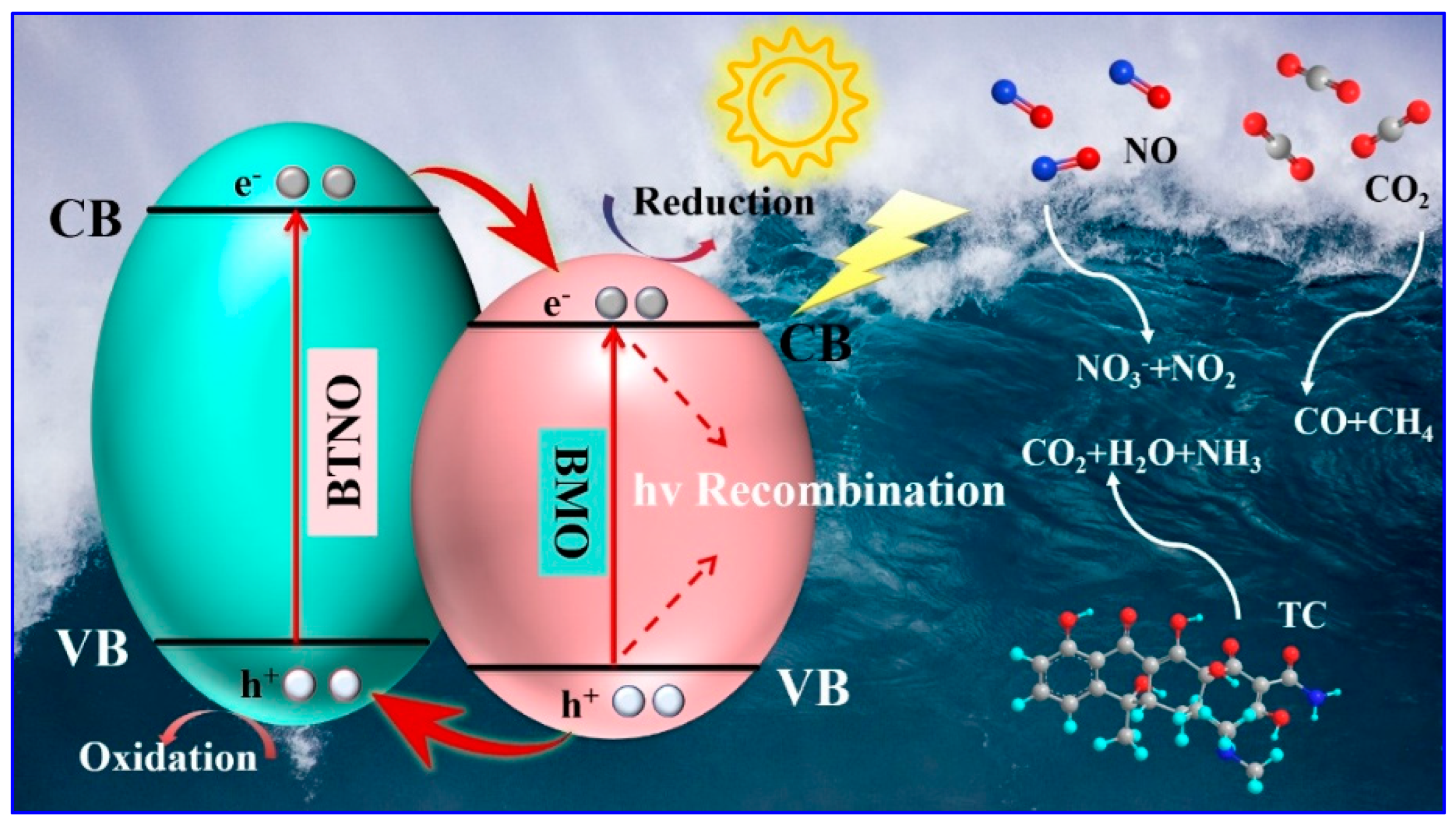 Nanomaterials 15 01903 g012