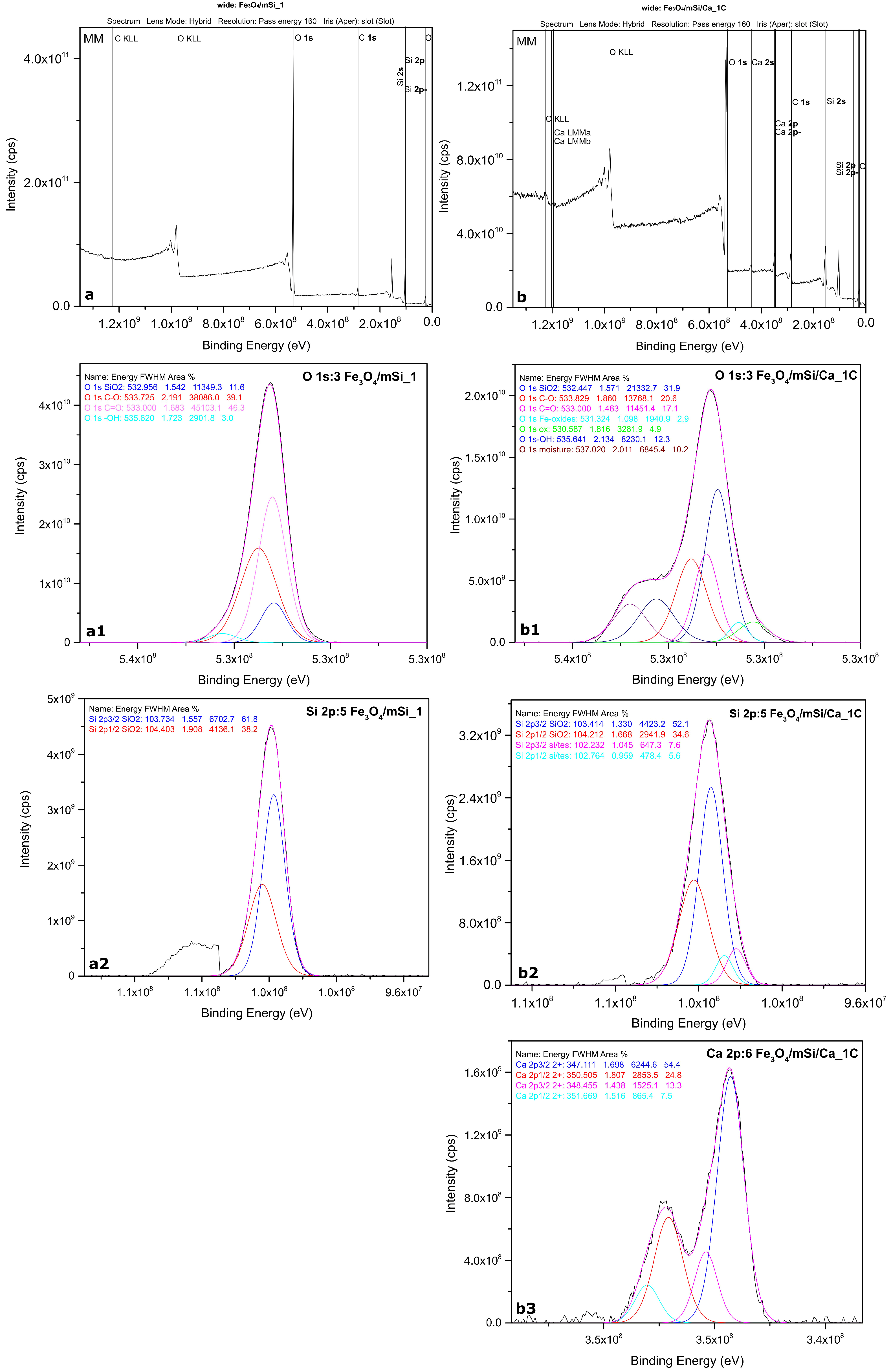 Nanomaterials 15 01904 g004