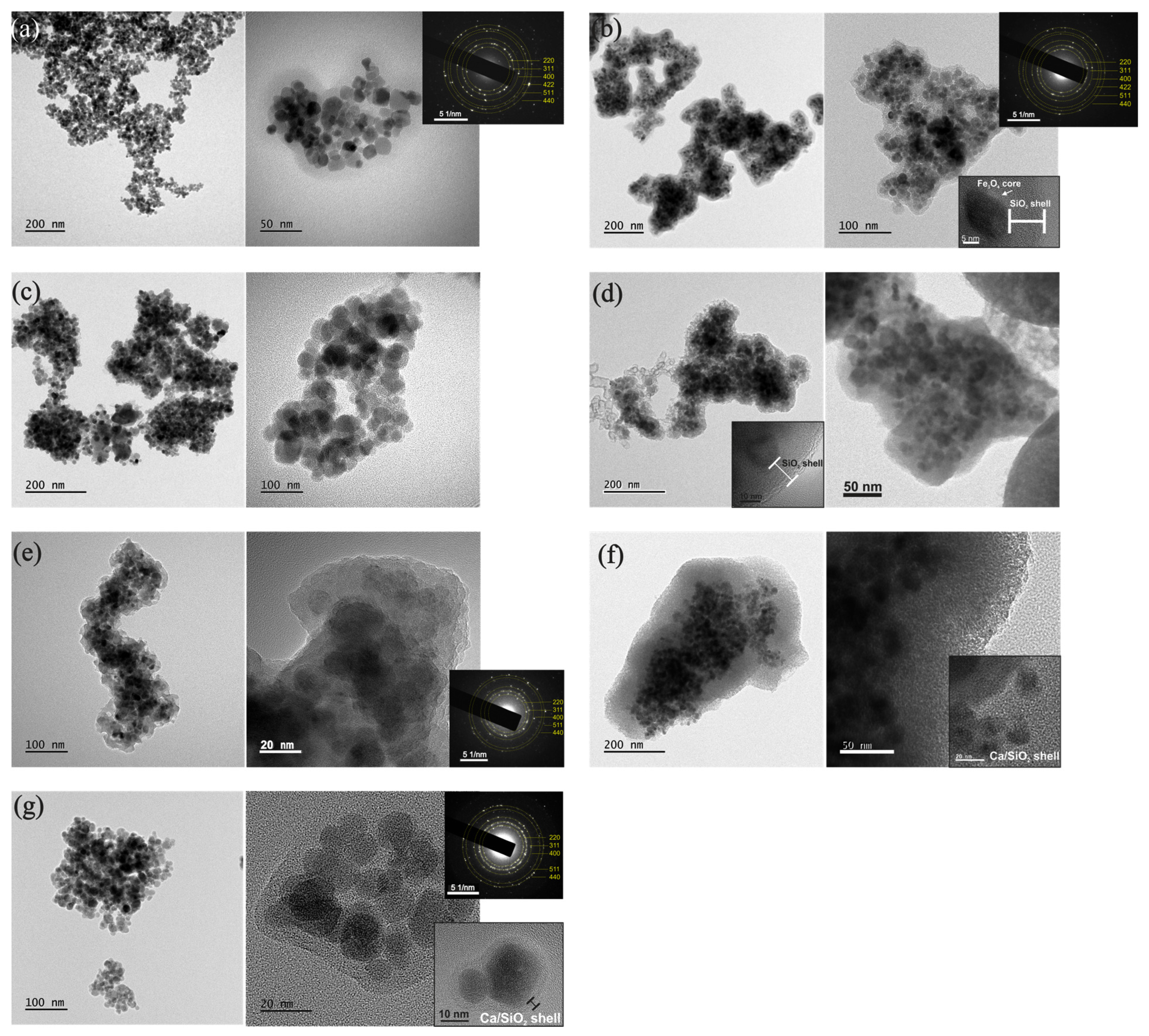 Nanomaterials 15 01904 g007