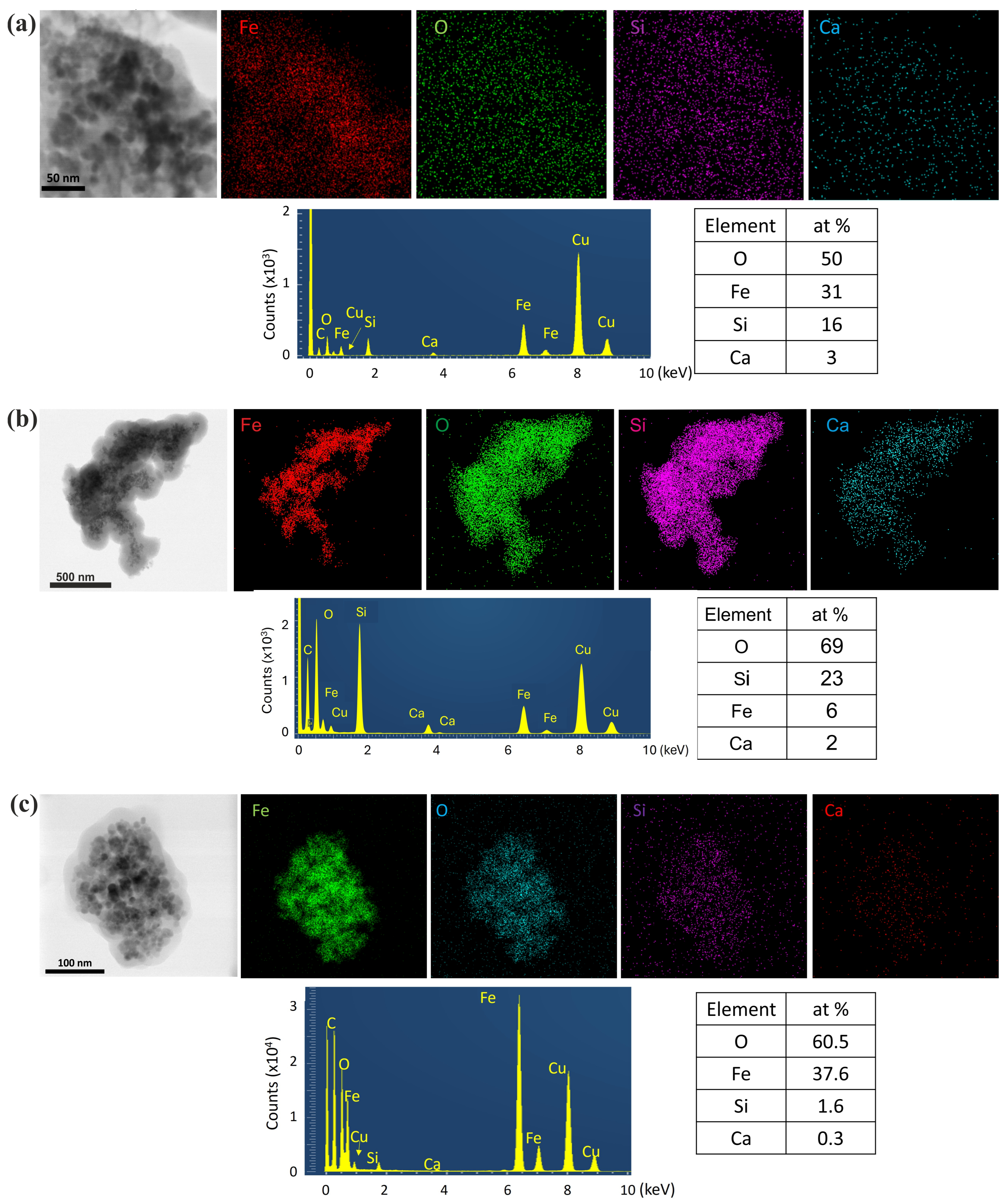 Nanomaterials 15 01904 g009