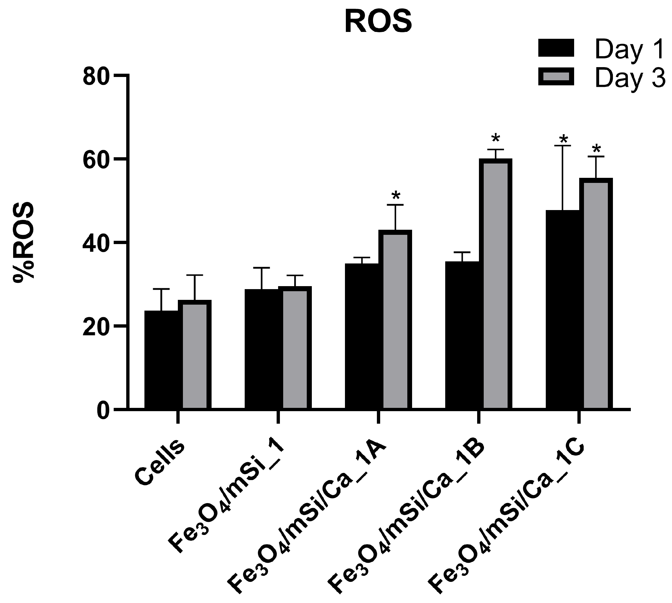 Nanomaterials 15 01904 g013