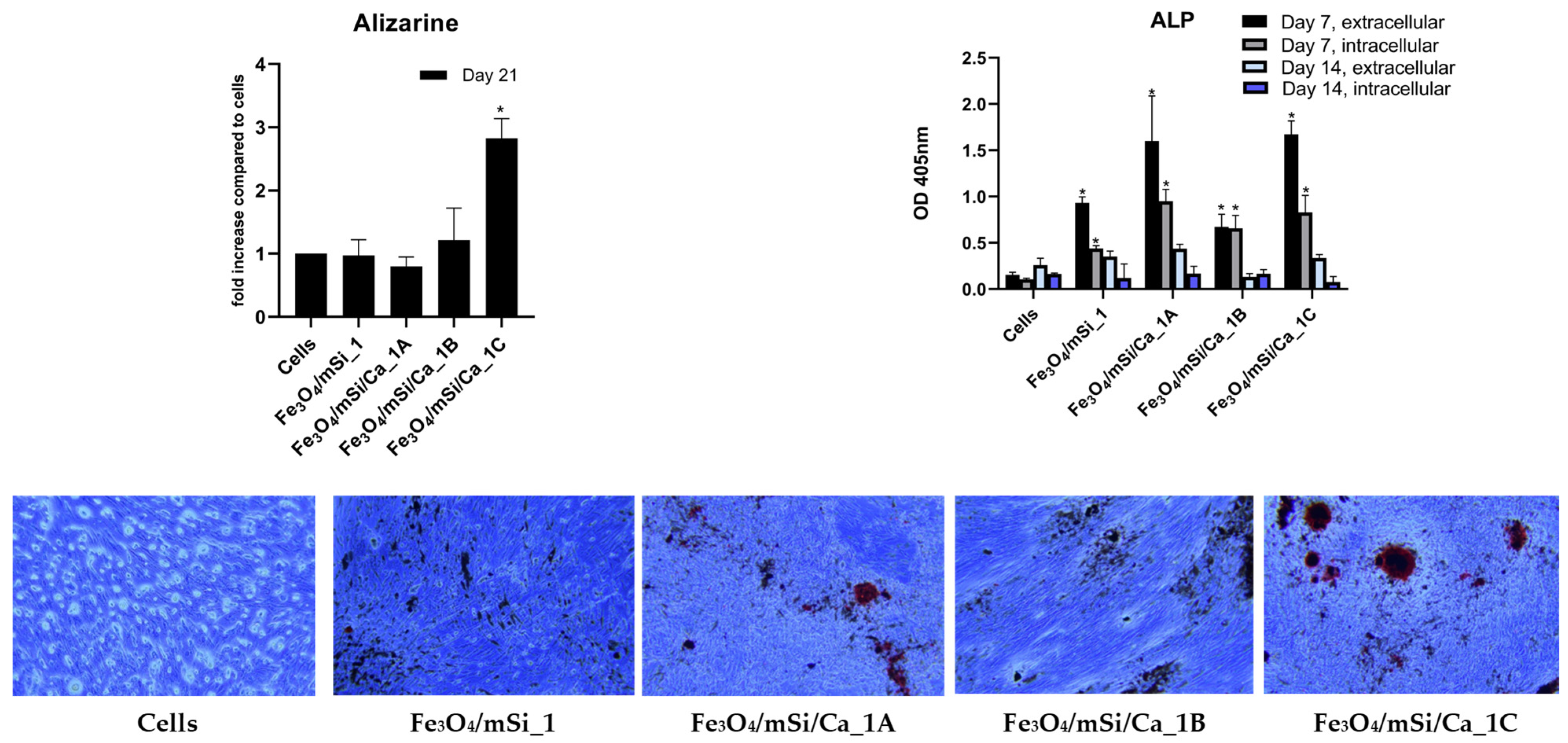 Nanomaterials 15 01904 g014