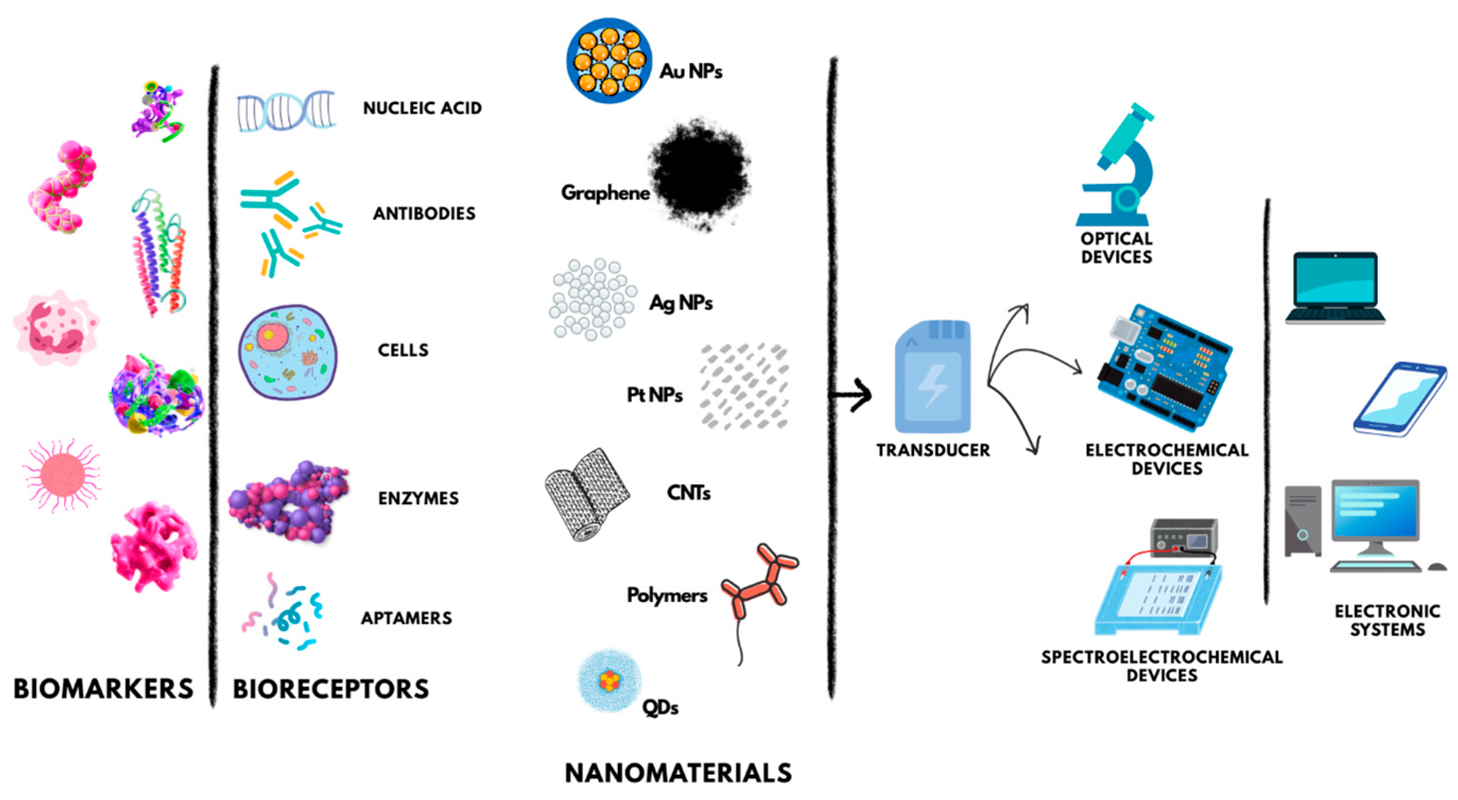 Nanomaterials 15 01905 g002