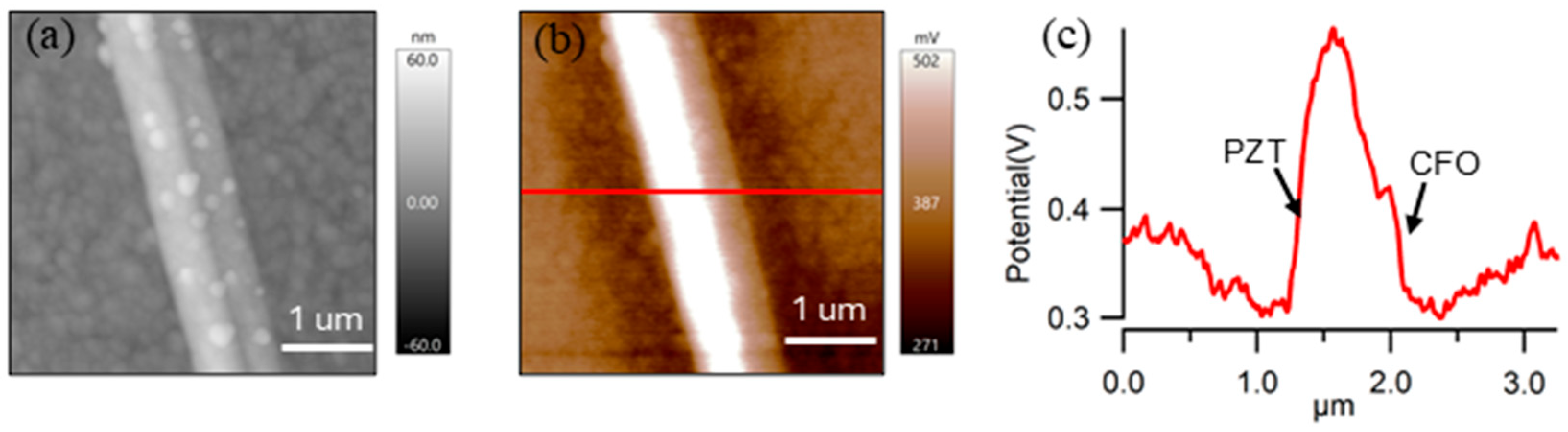 Nanomaterials 16 00002 g004