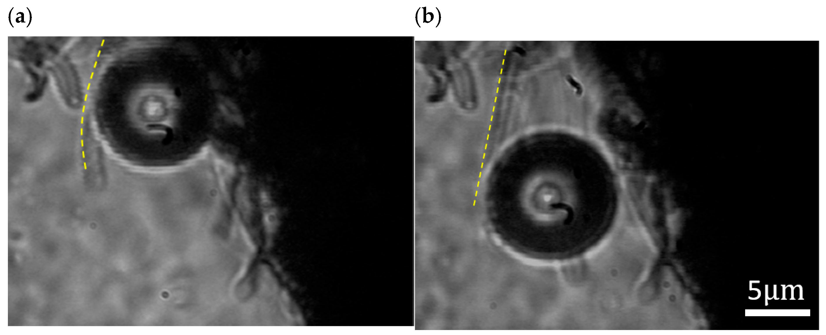 Nanomaterials 16 00005 g005 Nanomaterials 16 00005 g005