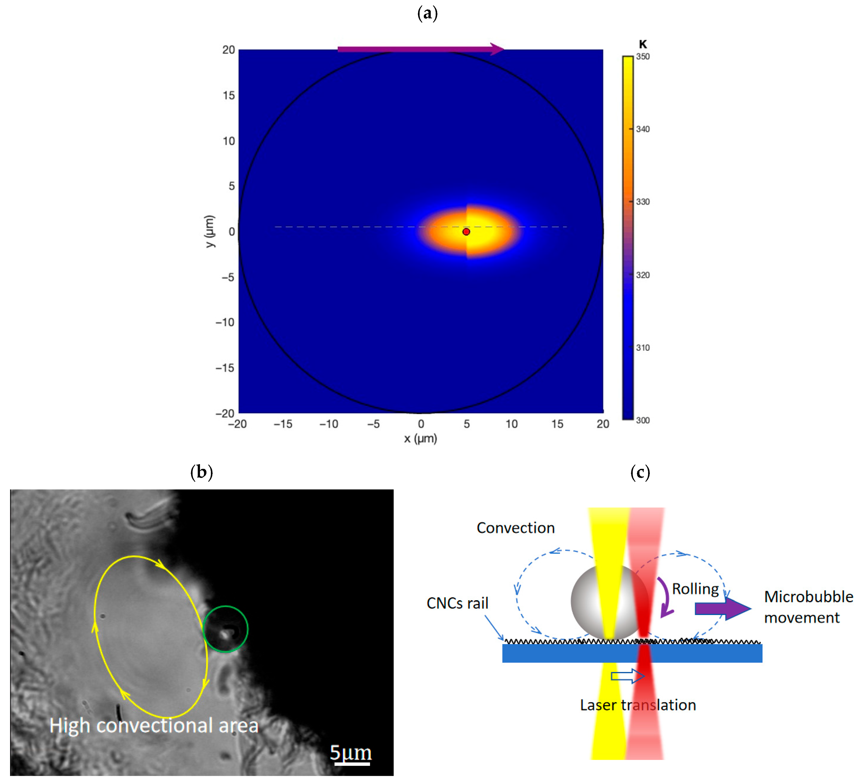 Nanomaterials 16 00005 g006 Nanomaterials 16 00005 g006