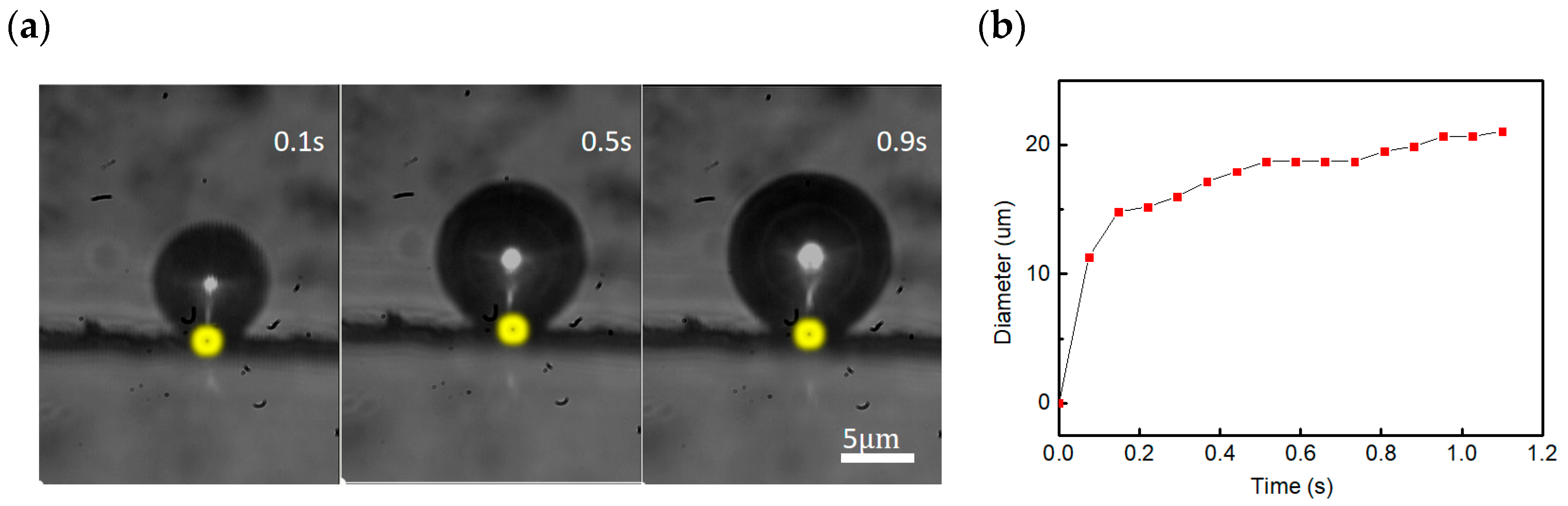 Nanomaterials 16 00005 g007 Nanomaterials 16 00005 g007