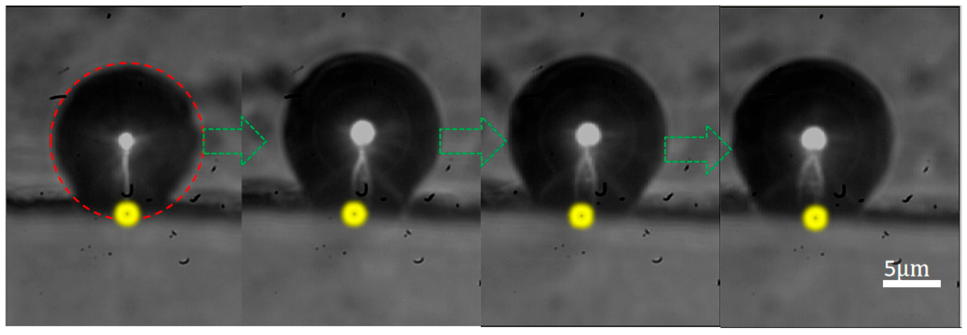 Nanomaterials 16 00005 g008 Nanomaterials 16 00005 g008