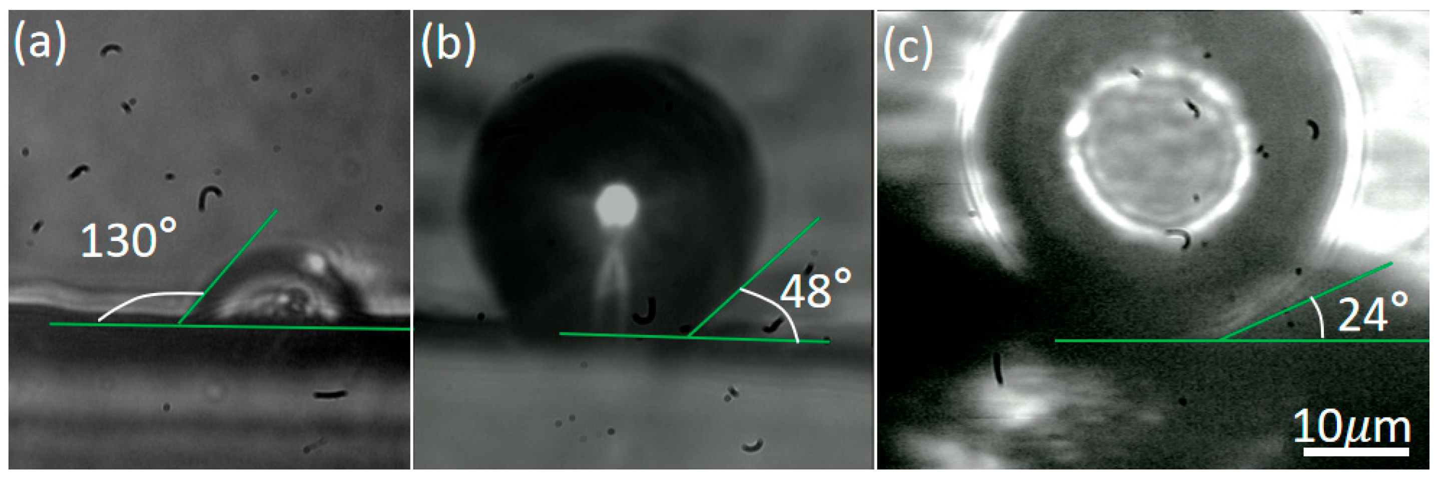 Nanomaterials 16 00005 g009 Nanomaterials 16 00005 g009