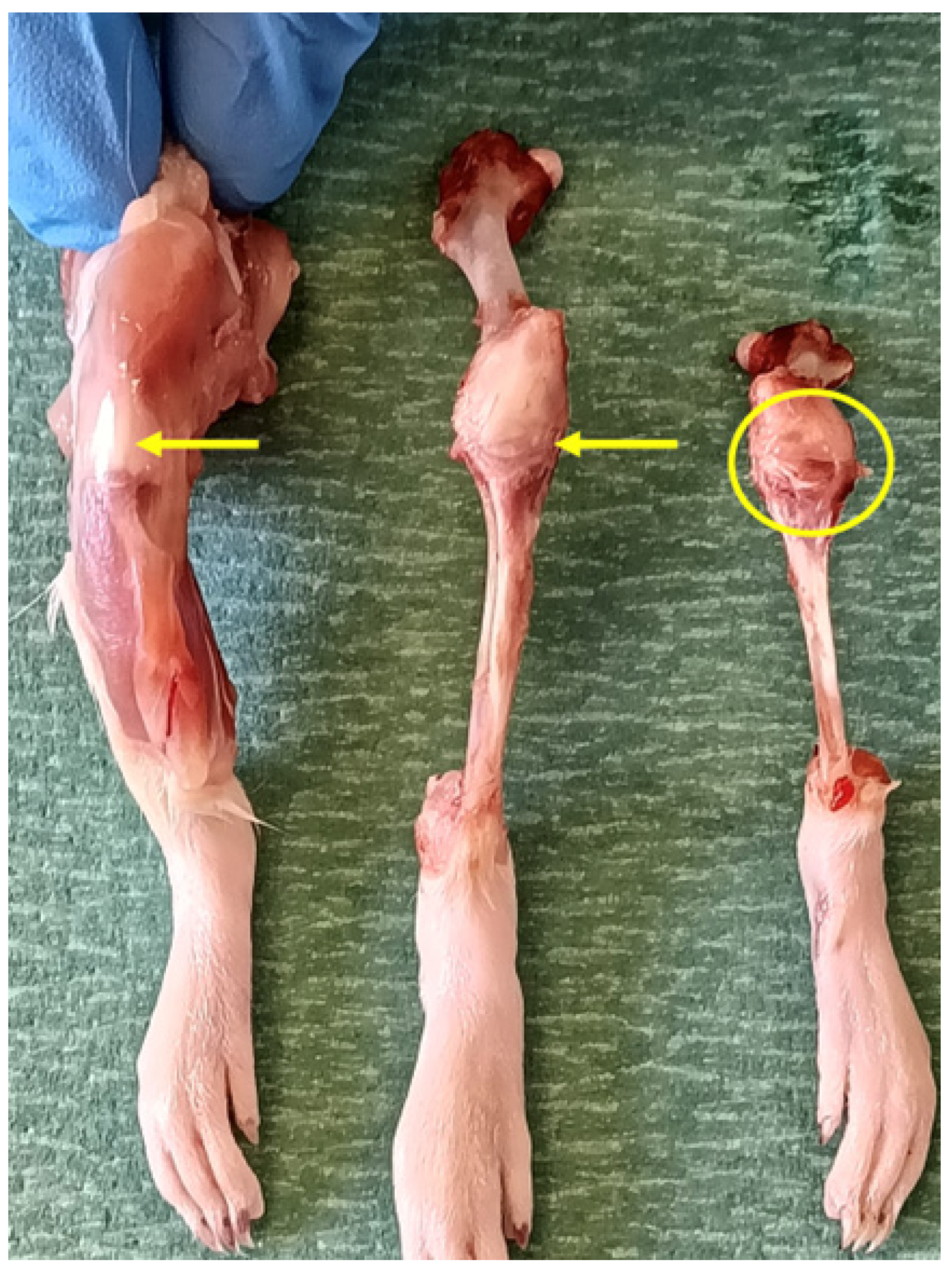 Nanomaterials 16 00009 g005