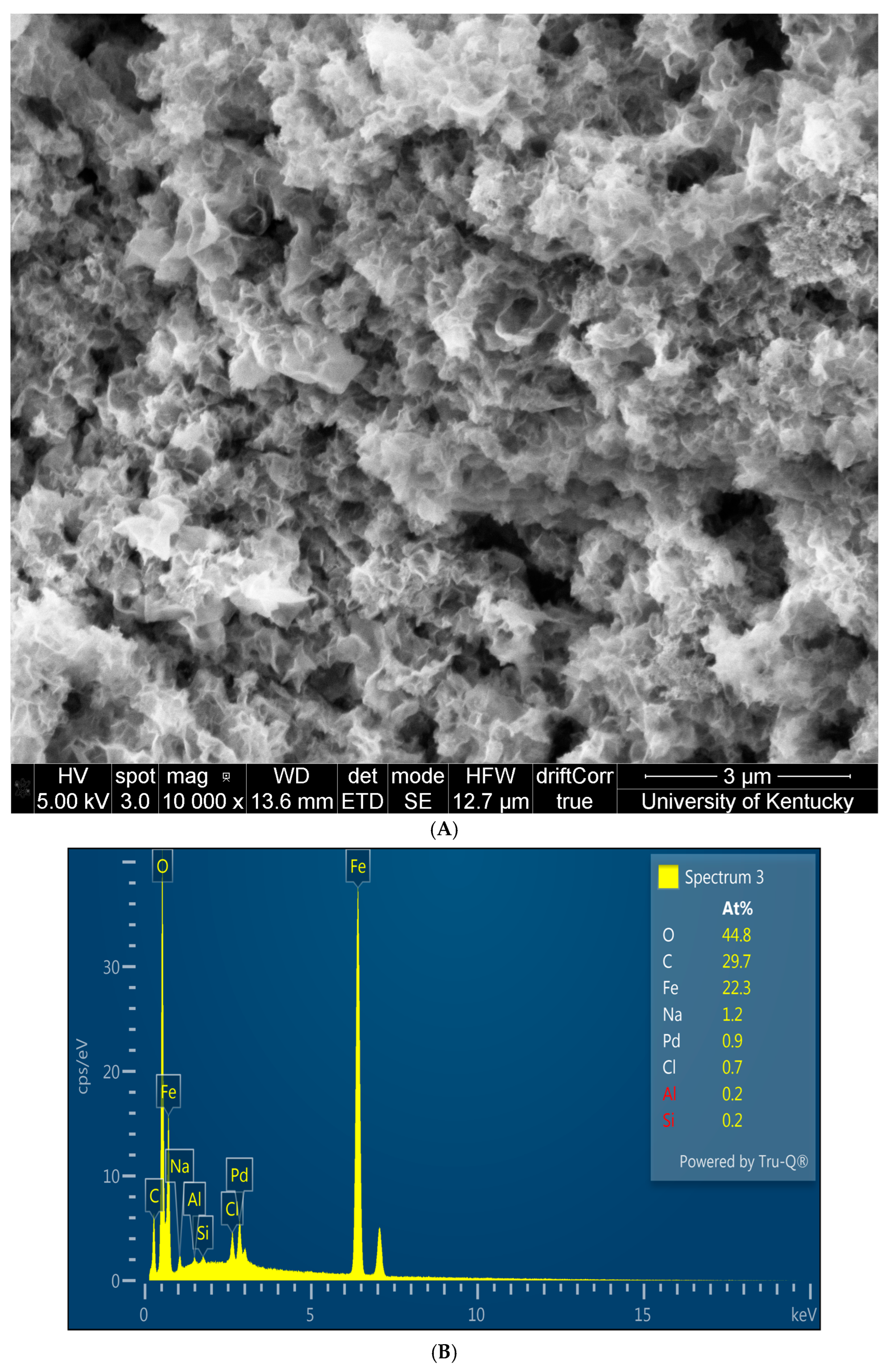 Nanomaterials 16 00014 g009a Nanomaterials 16 00014 g009a