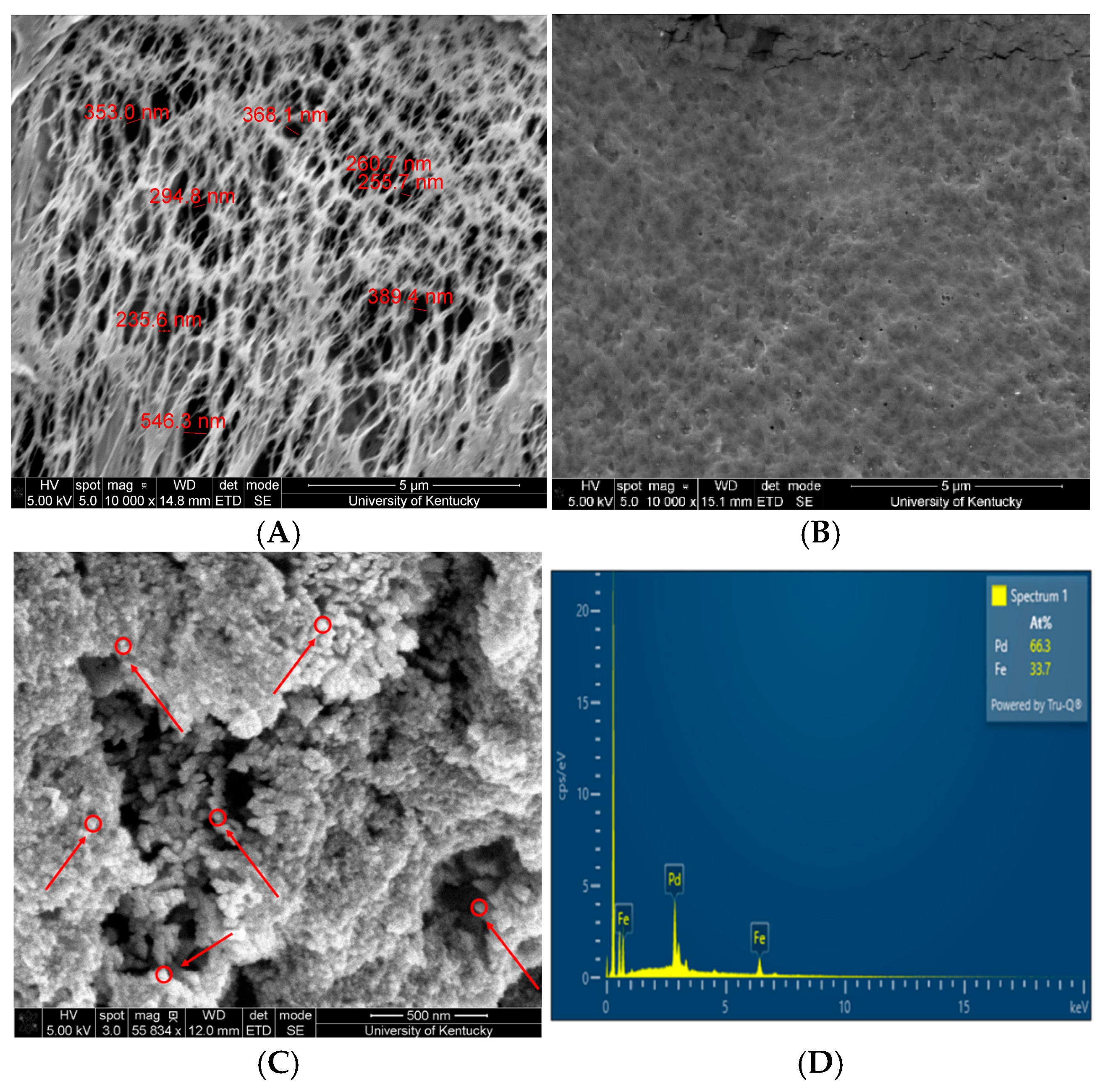 Nanomaterials 16 00014 g010 Nanomaterials 16 00014 g010