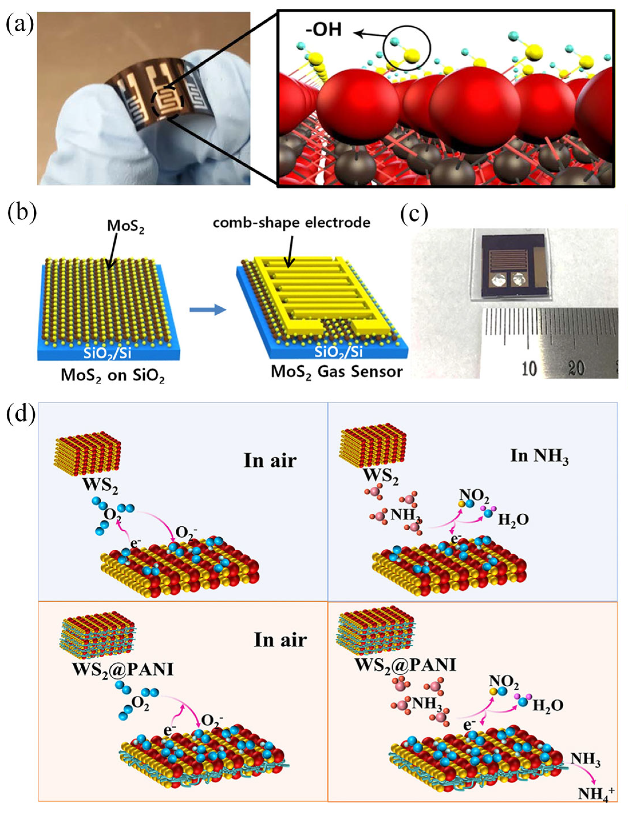 Nanomaterials 16 00025 g005